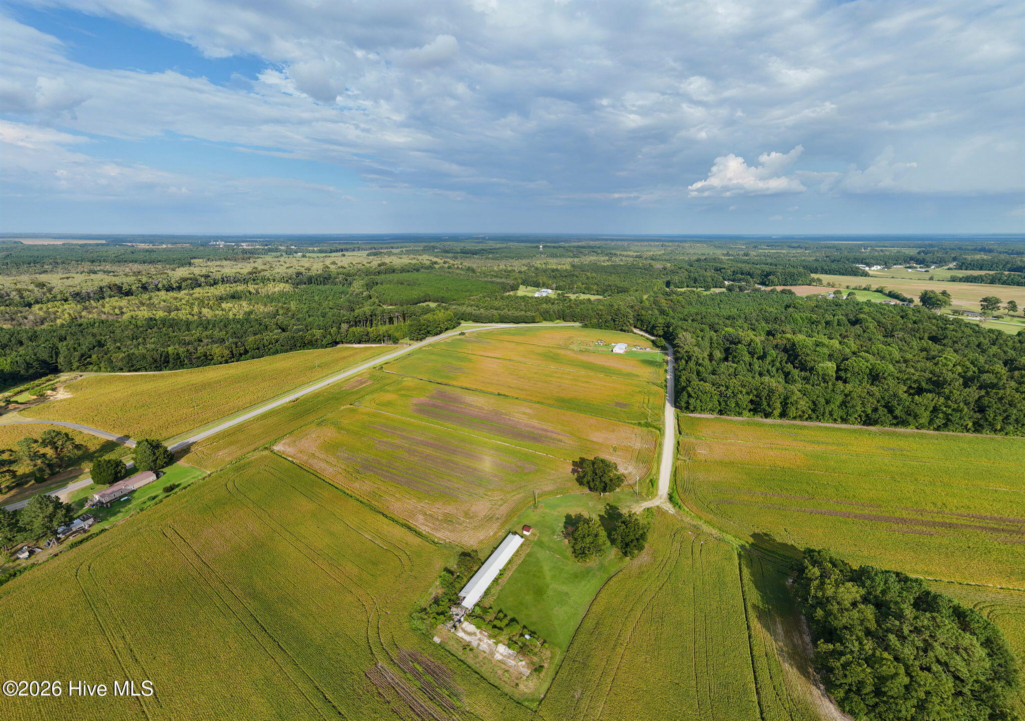 Tbd Gus Town Road Property Photo 4