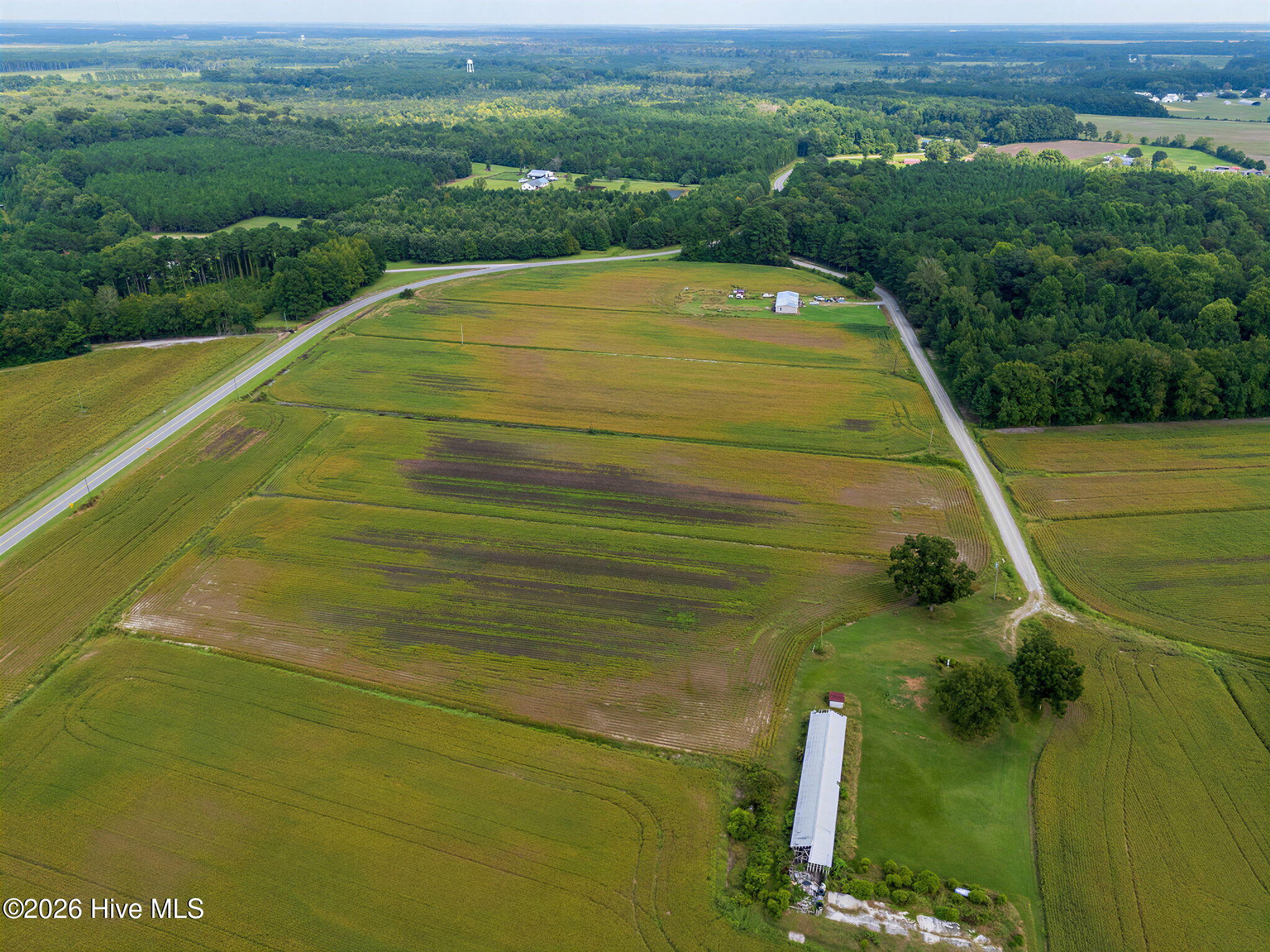 Tbd Gus Town Road Property Photo 6