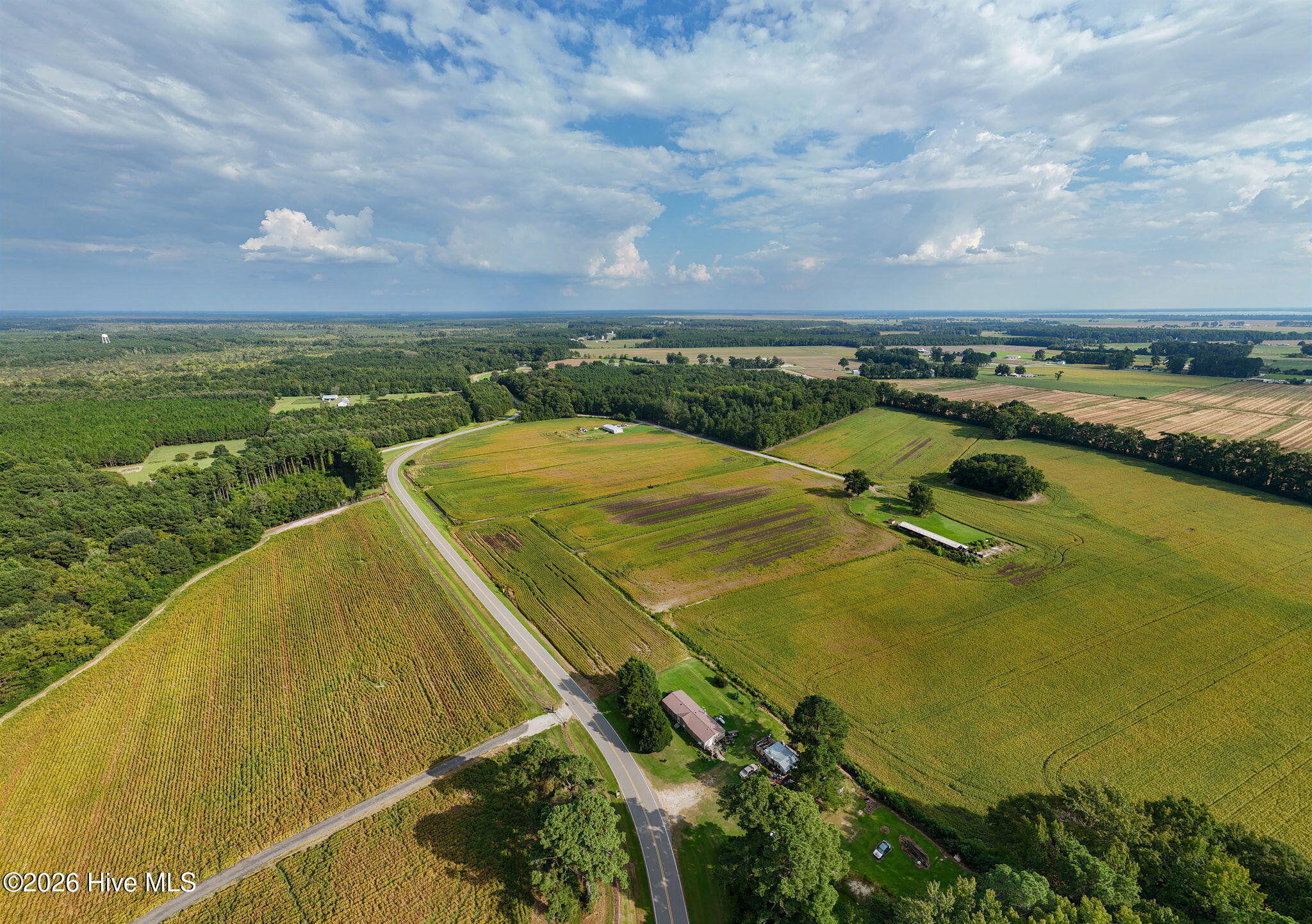 Tbd Gus Town Road Property Photo 11