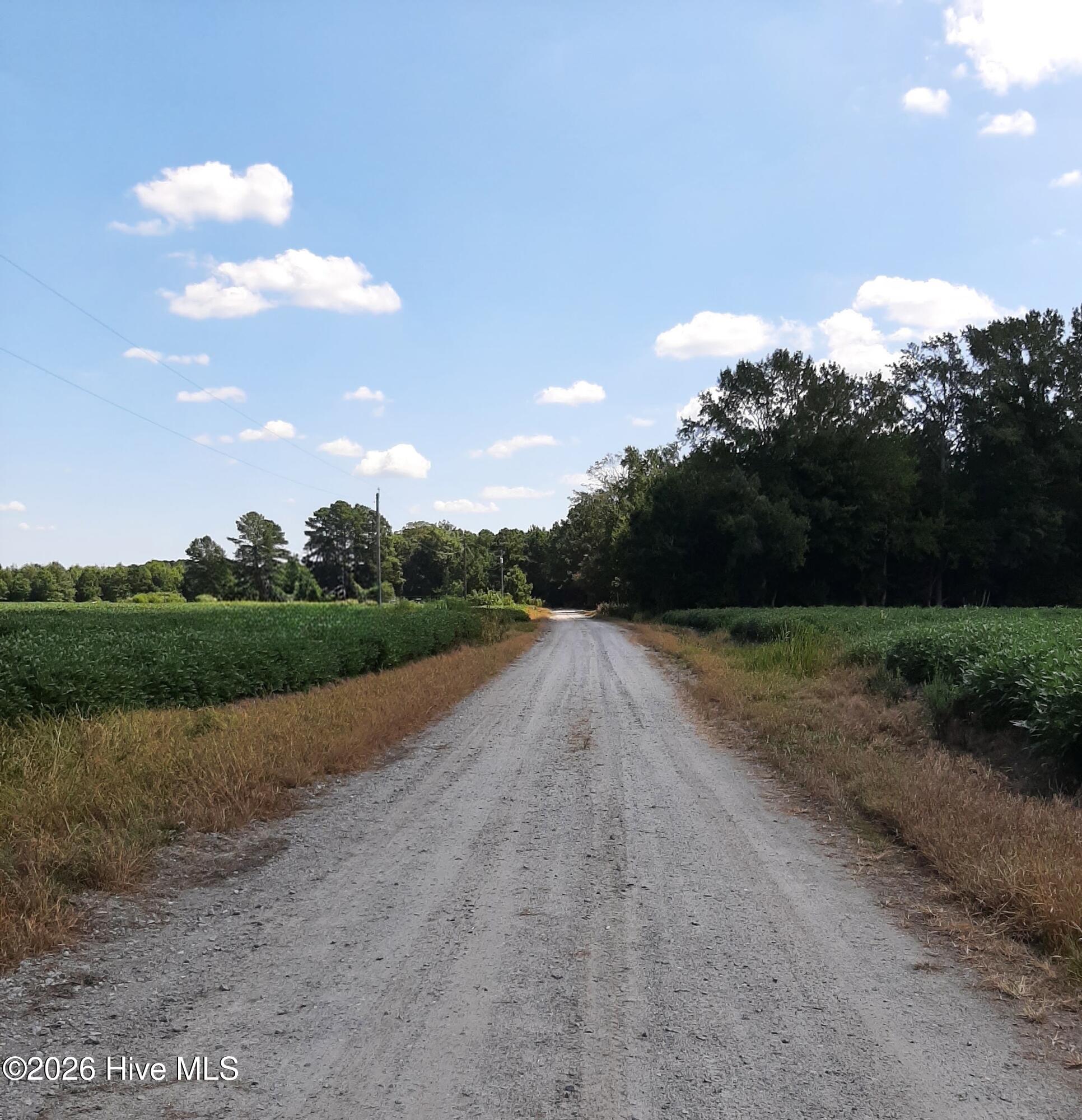 Tbd Gus Town Road Property Photo 16