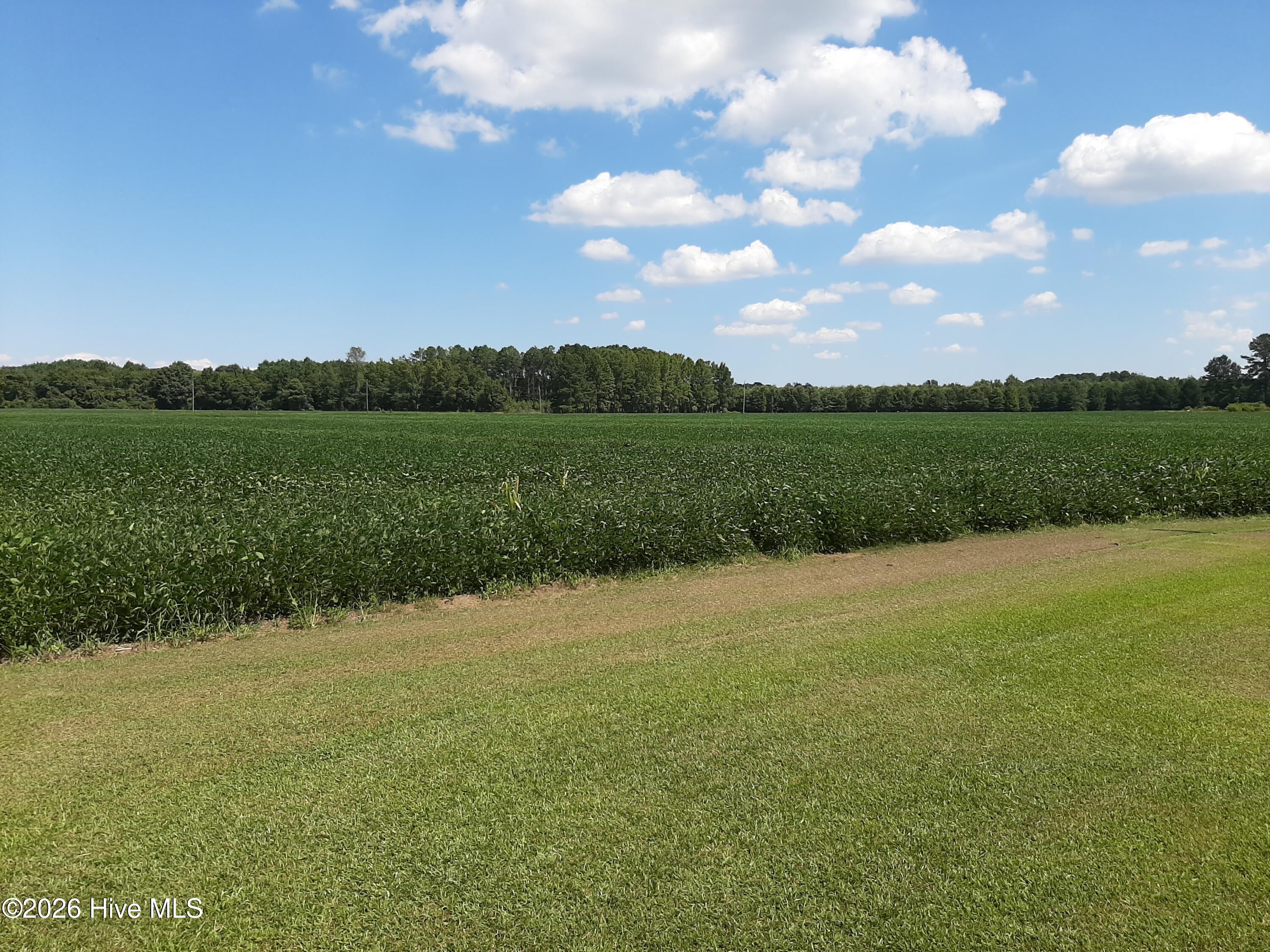 Tbd Gus Town Road Property Photo 17