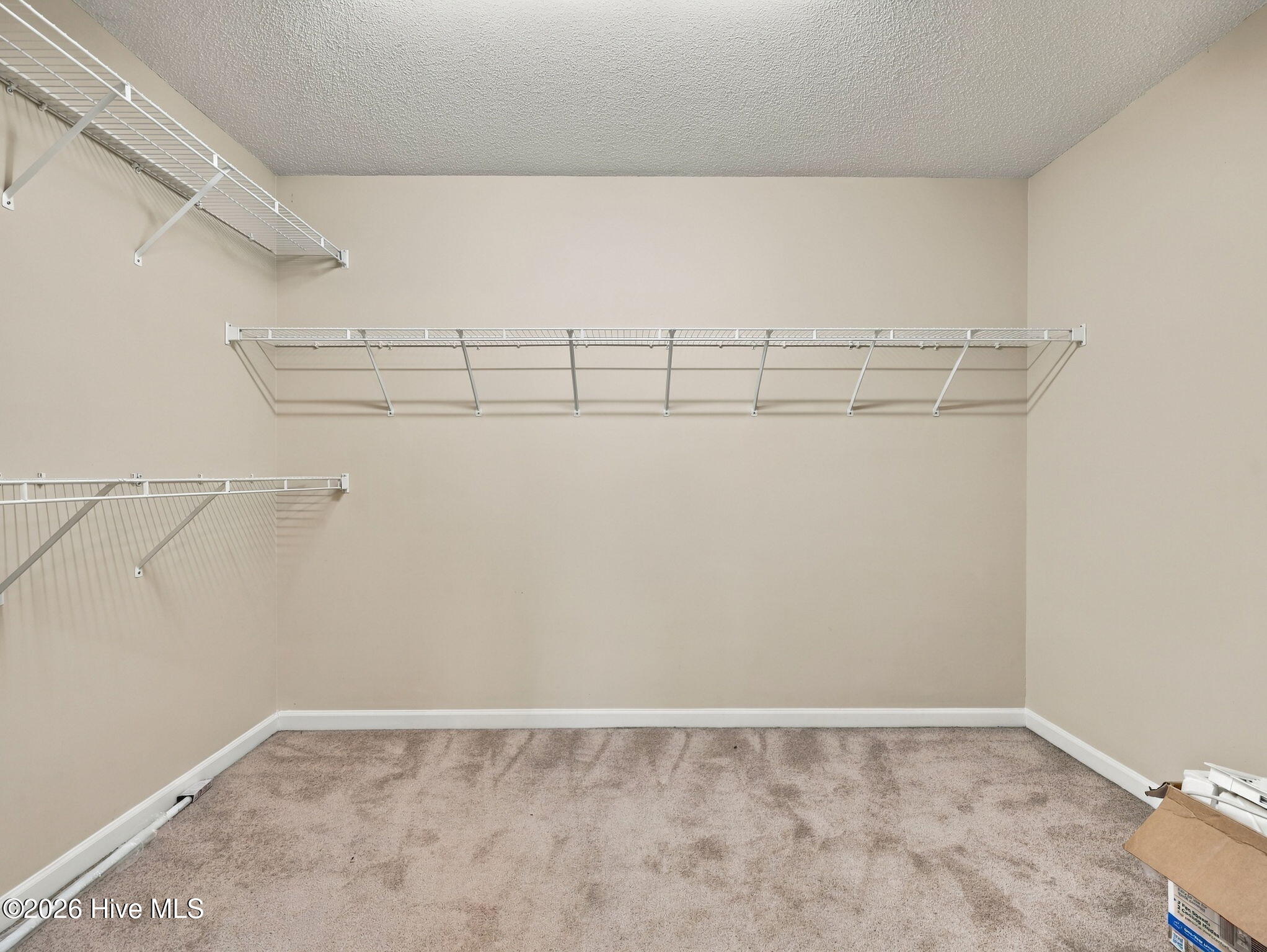 116 Spring Leaf Lane Property Photo 43