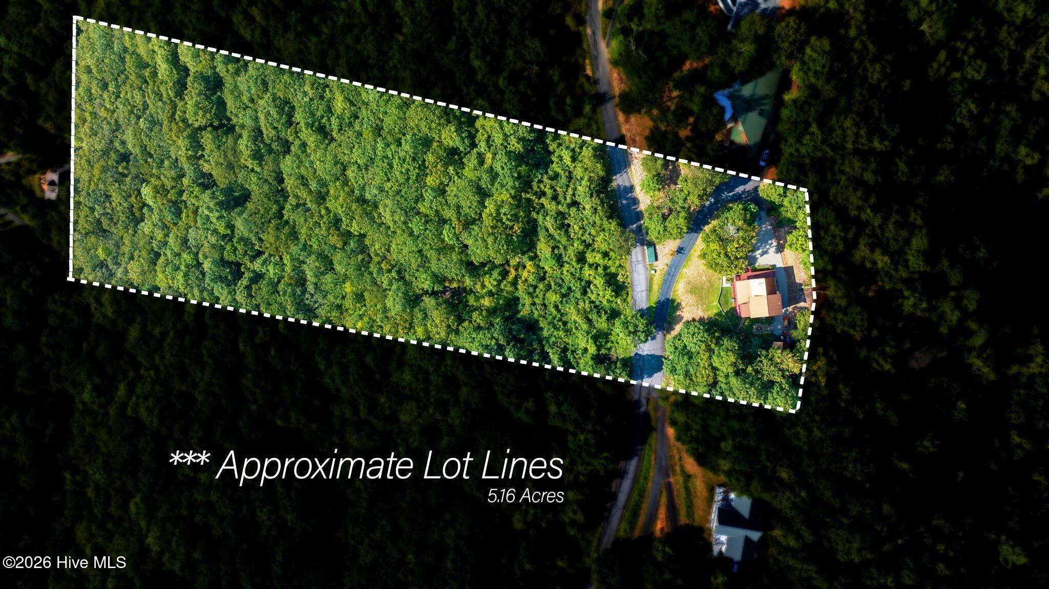 1300 Timberwood Drive Property Photo 7