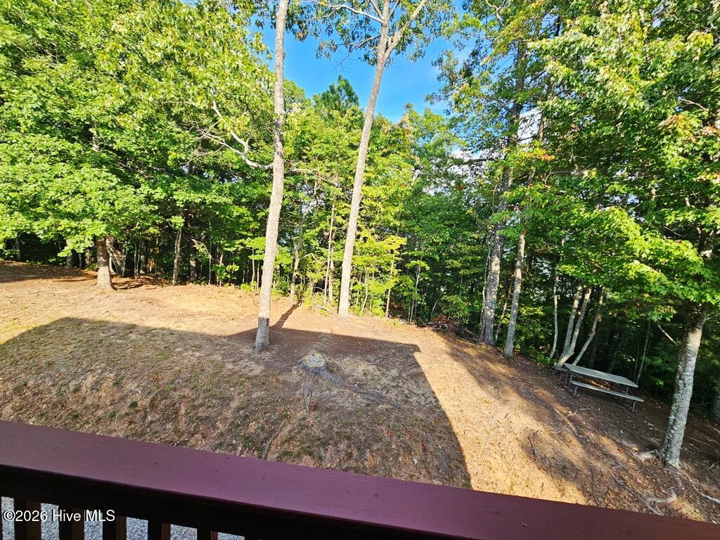 1300 Timberwood Drive Property Photo 105