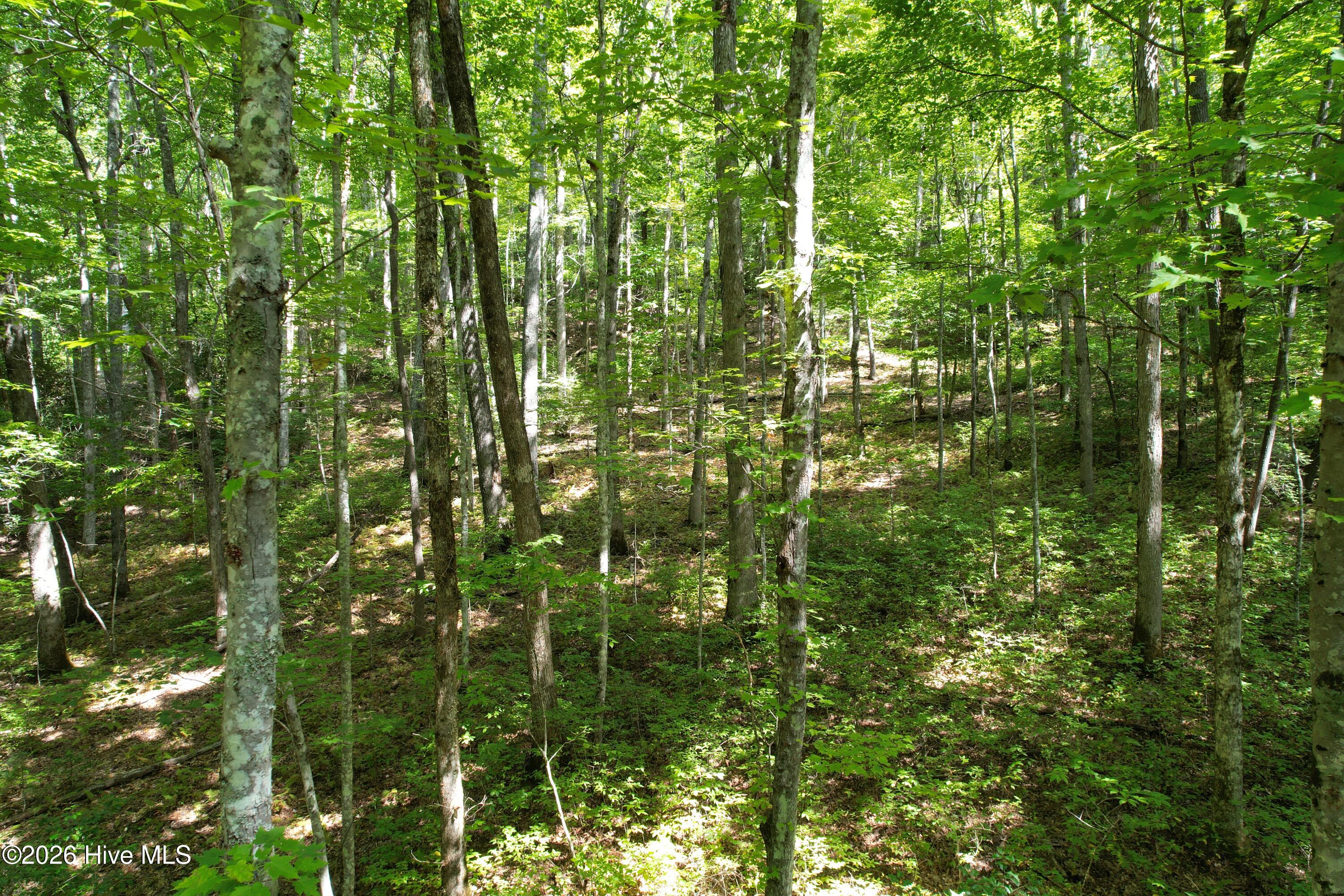 22 Nantahala Harbor Drive Property Photo 3