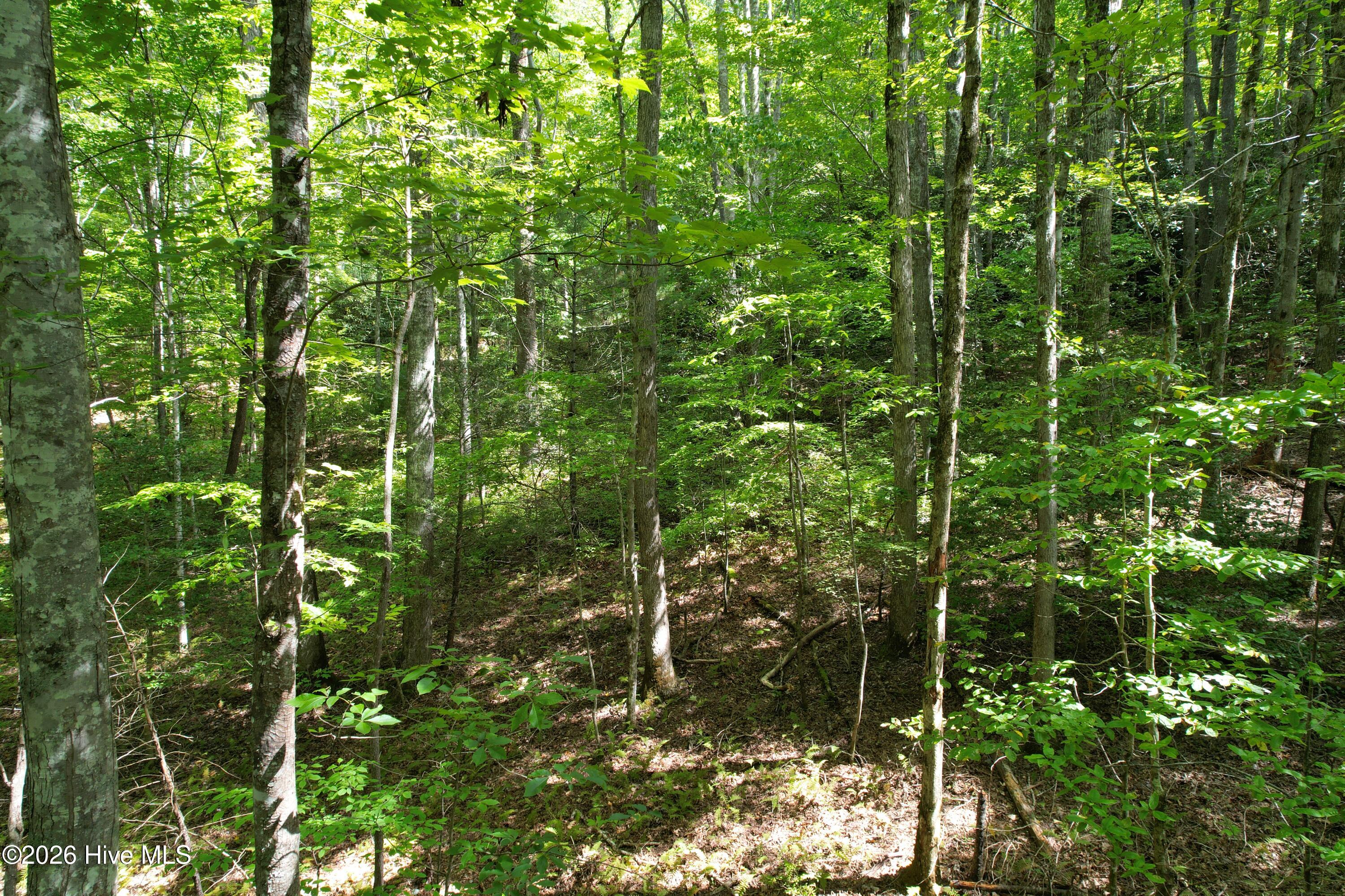 22 Nantahala Harbor Drive Property Photo 4