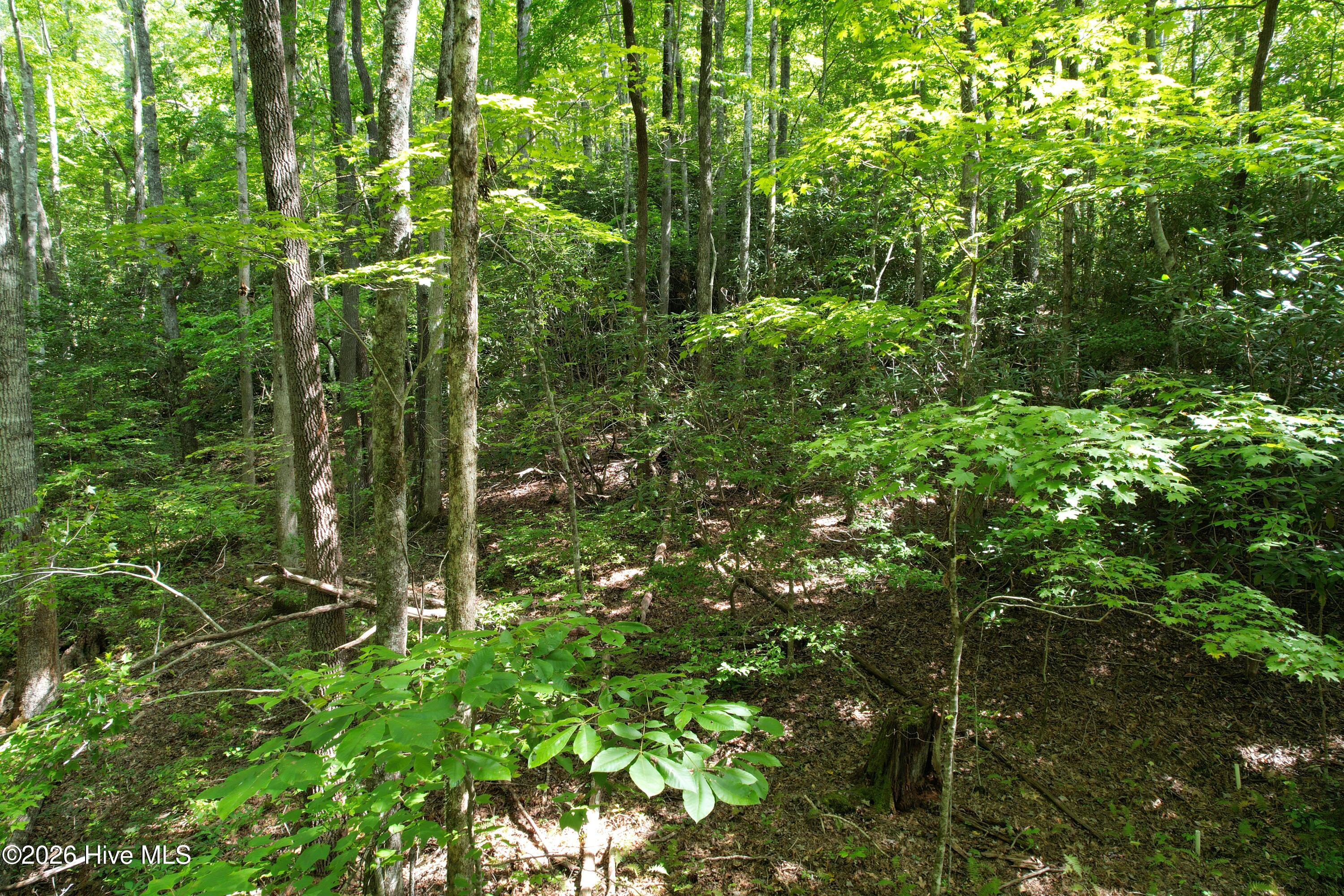 22 Nantahala Harbor Drive Property Photo 5