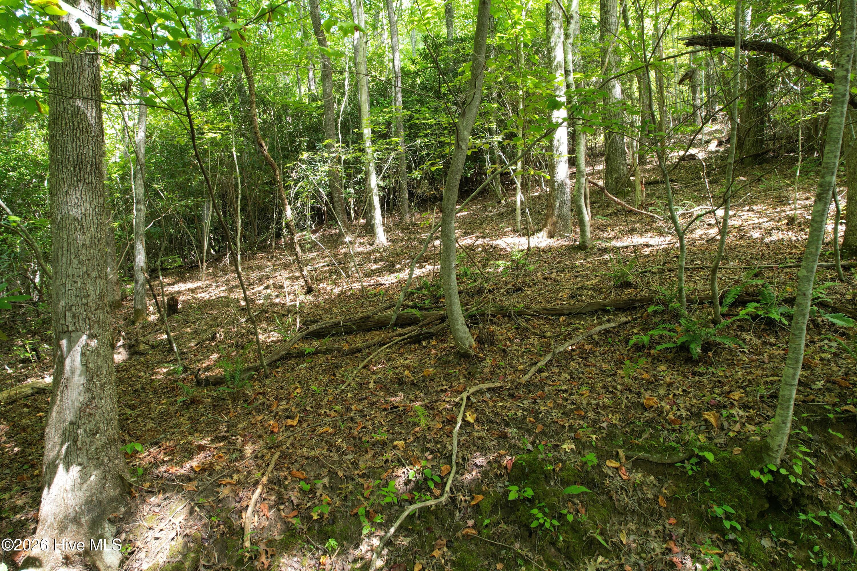 22 Nantahala Harbor Drive Property Photo 6