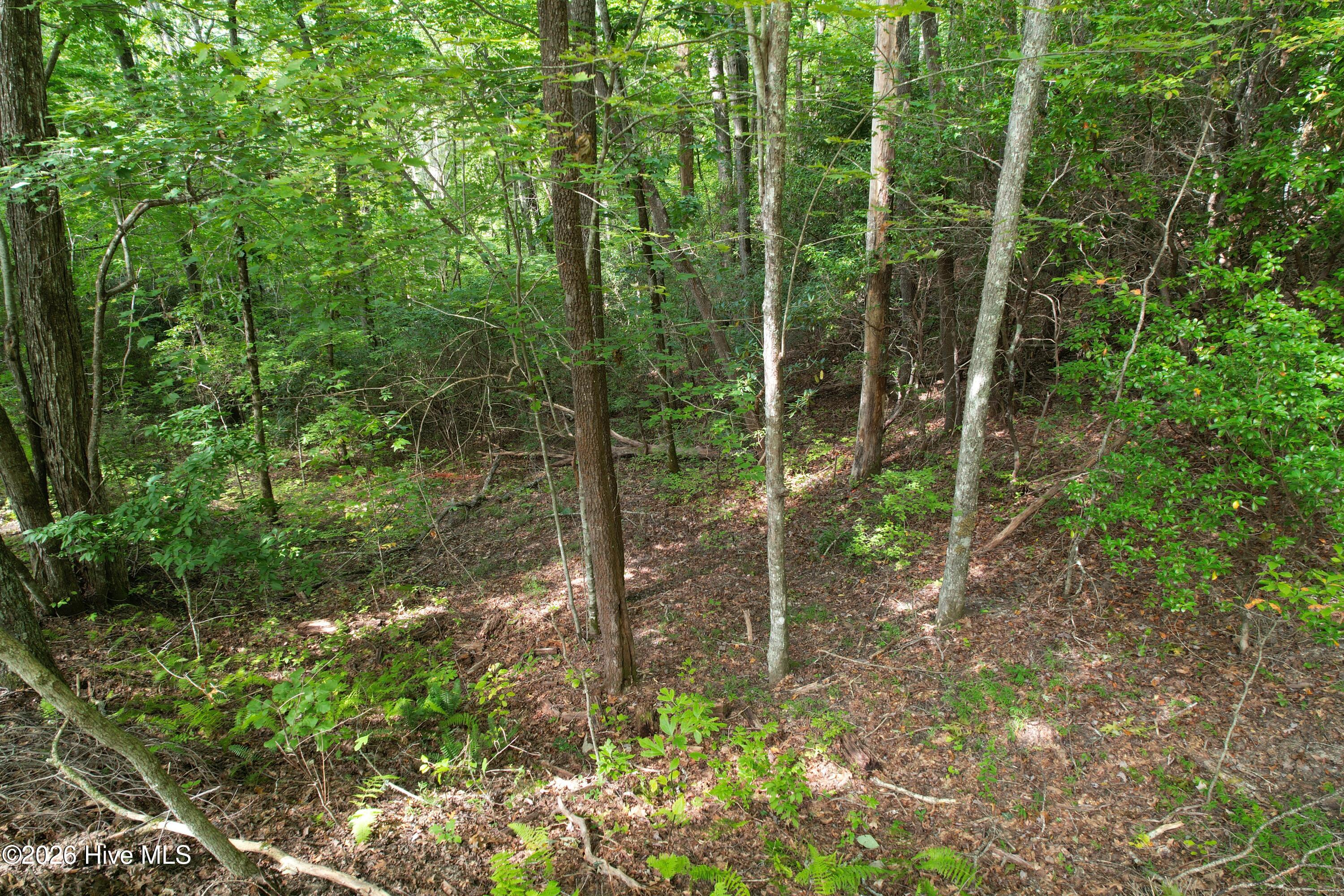 22 Nantahala Harbor Drive Property Photo 7