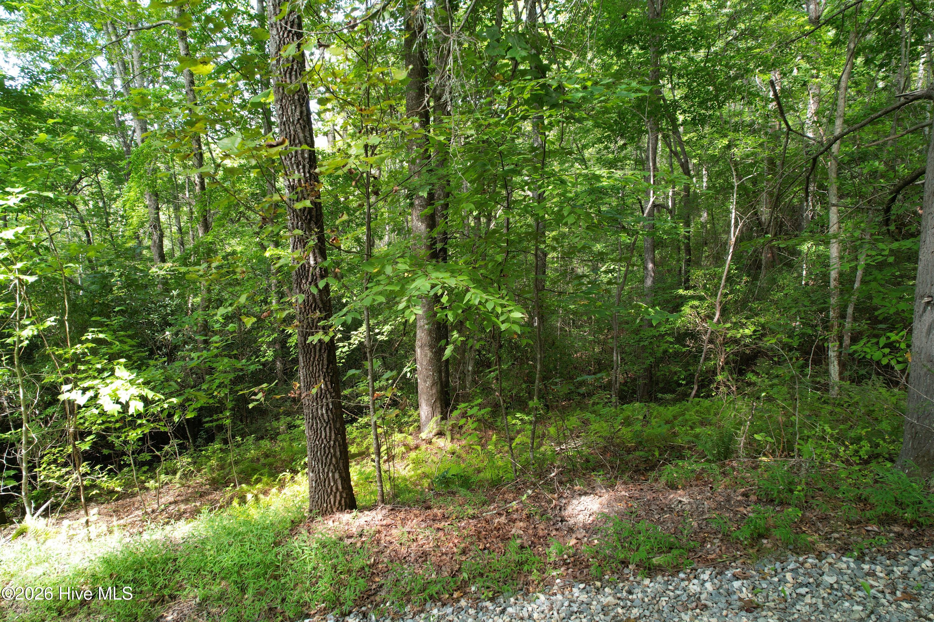 22 Nantahala Harbor Drive Property Photo 9