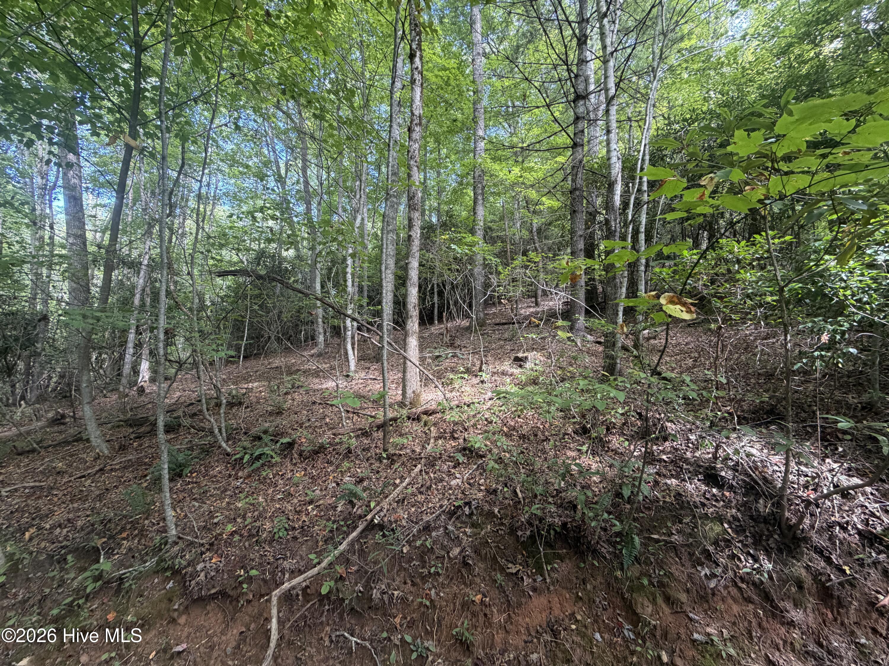 22 Nantahala Harbor Drive Property Photo 10
