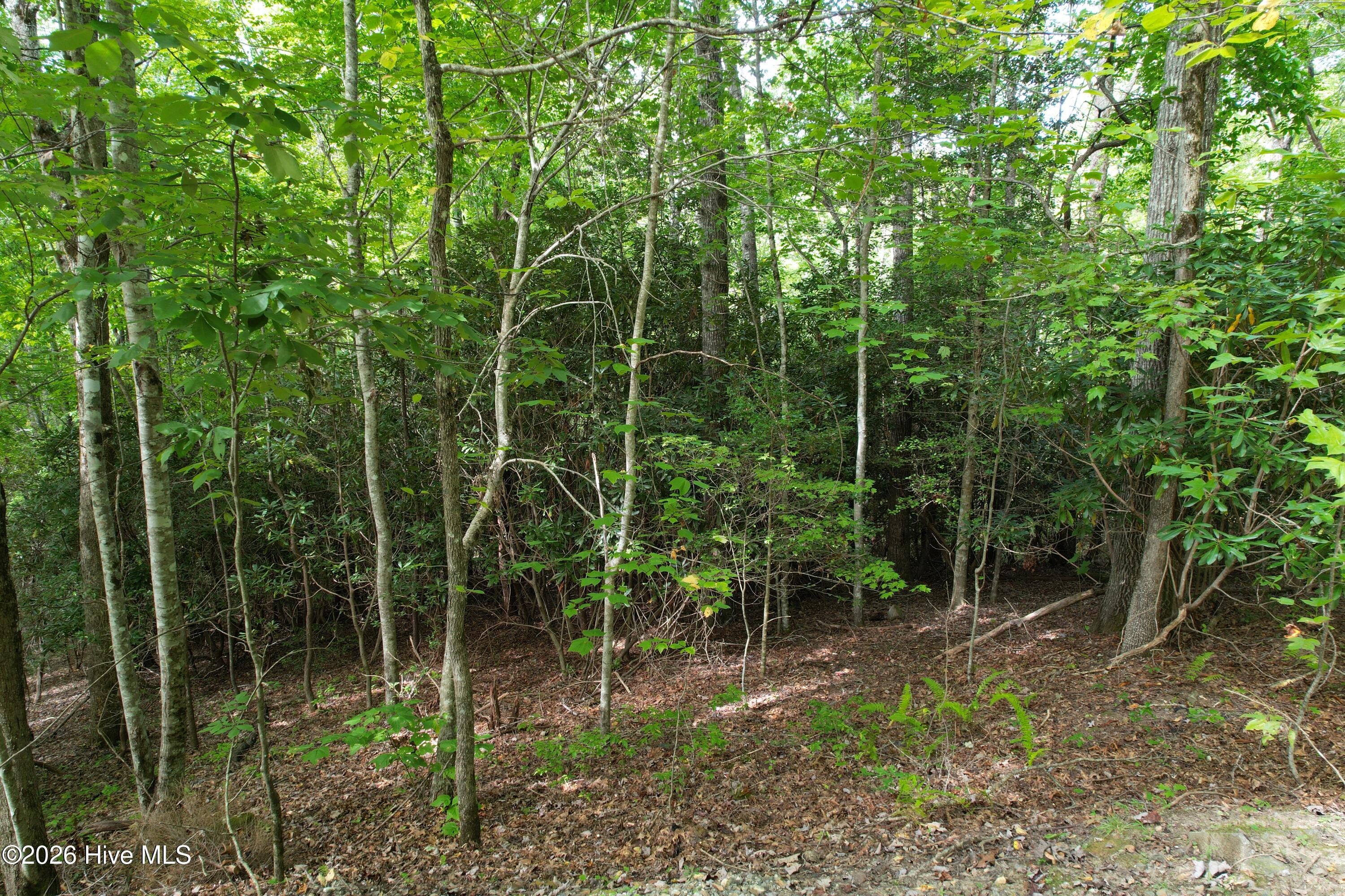 22 Nantahala Harbor Drive Property Photo 11