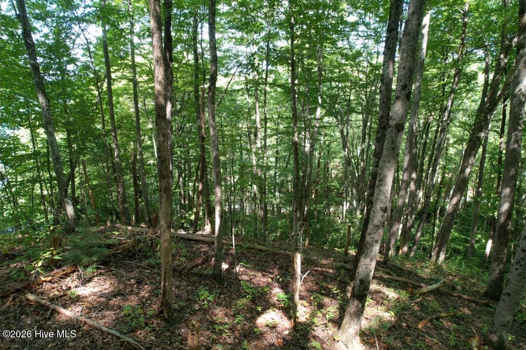 10 Deer Park Lane Property Photo 3