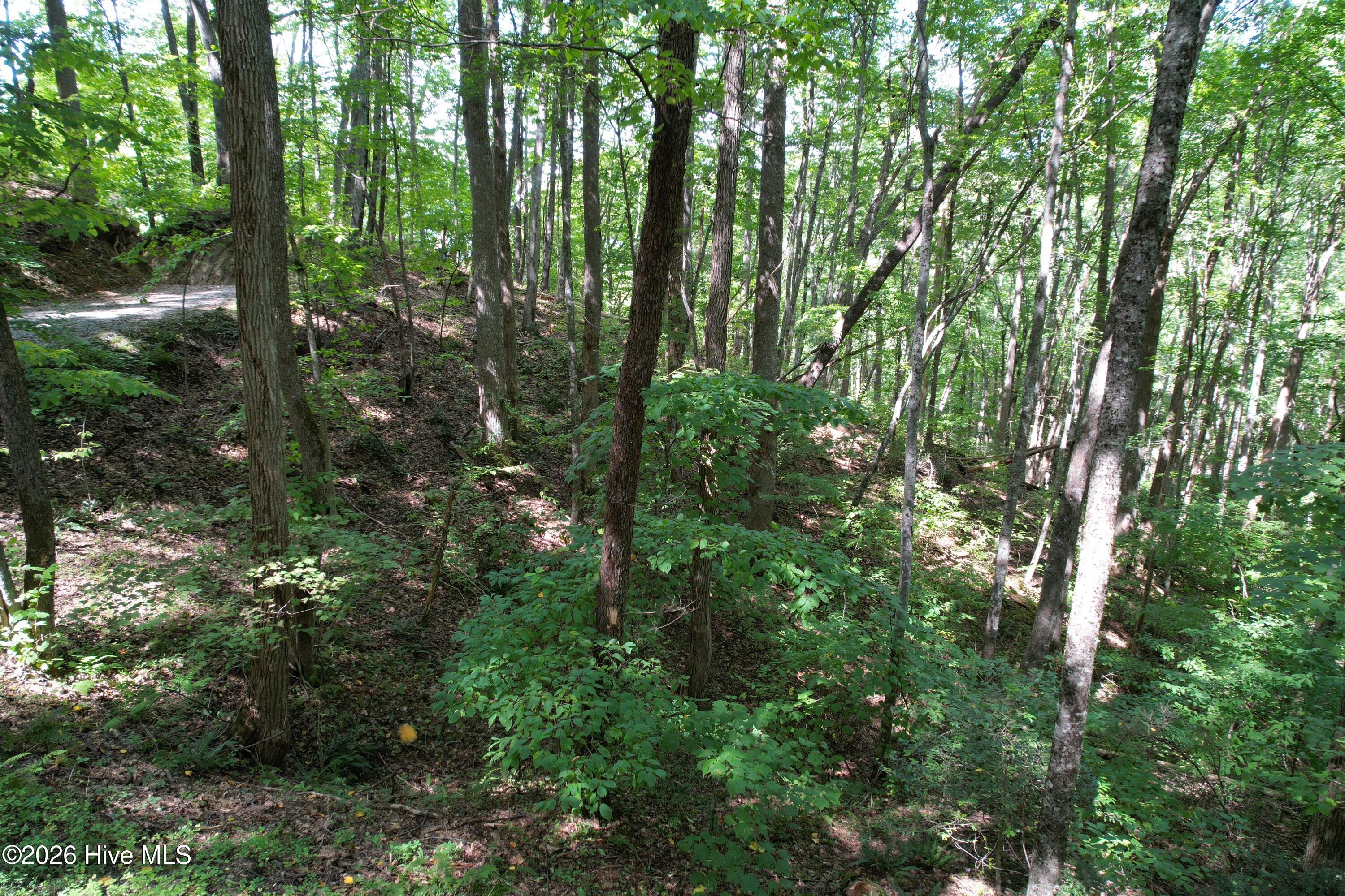 10 Deer Park Lane Property Photo 5