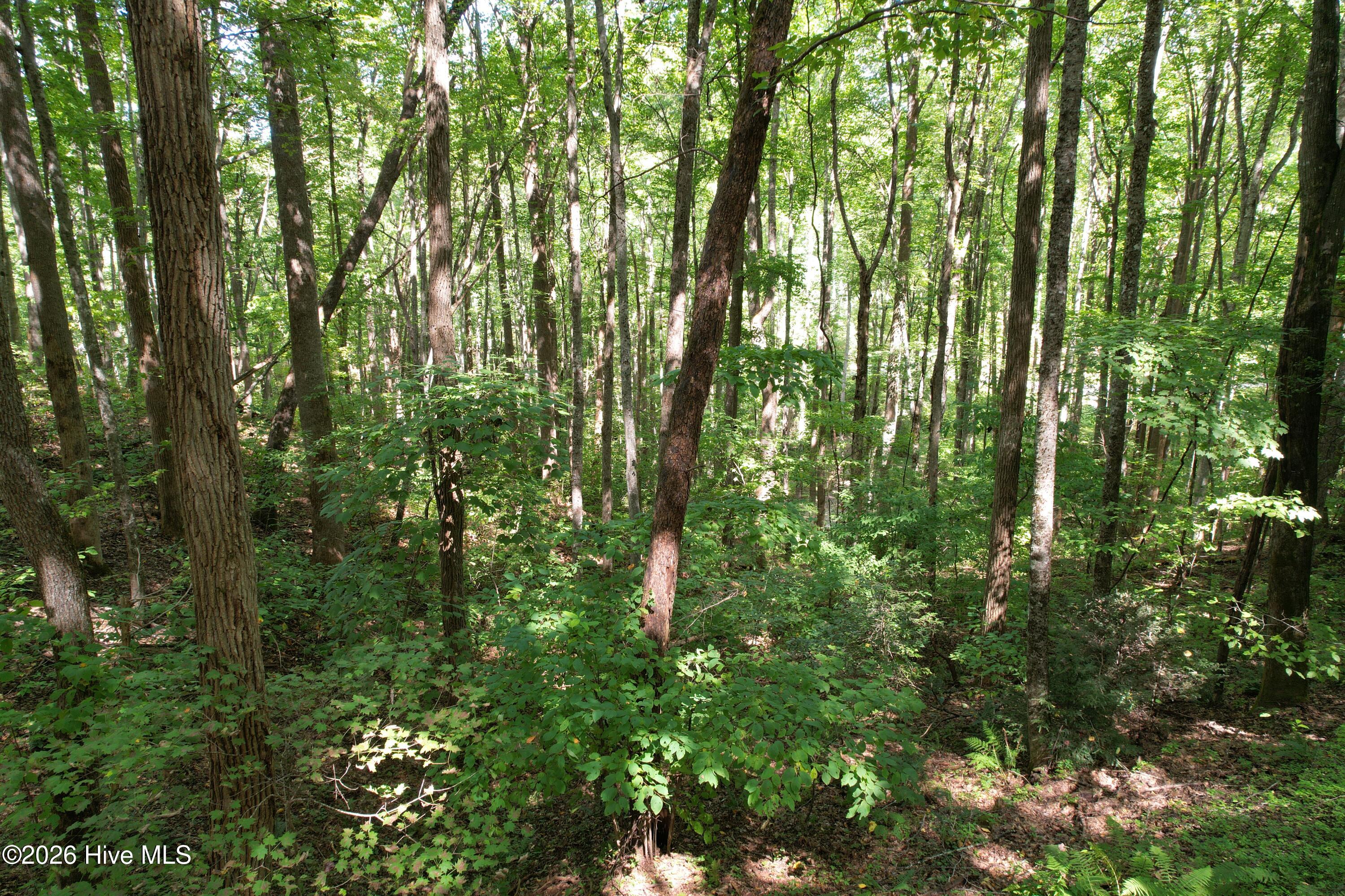 10 Deer Park Lane Property Photo 6