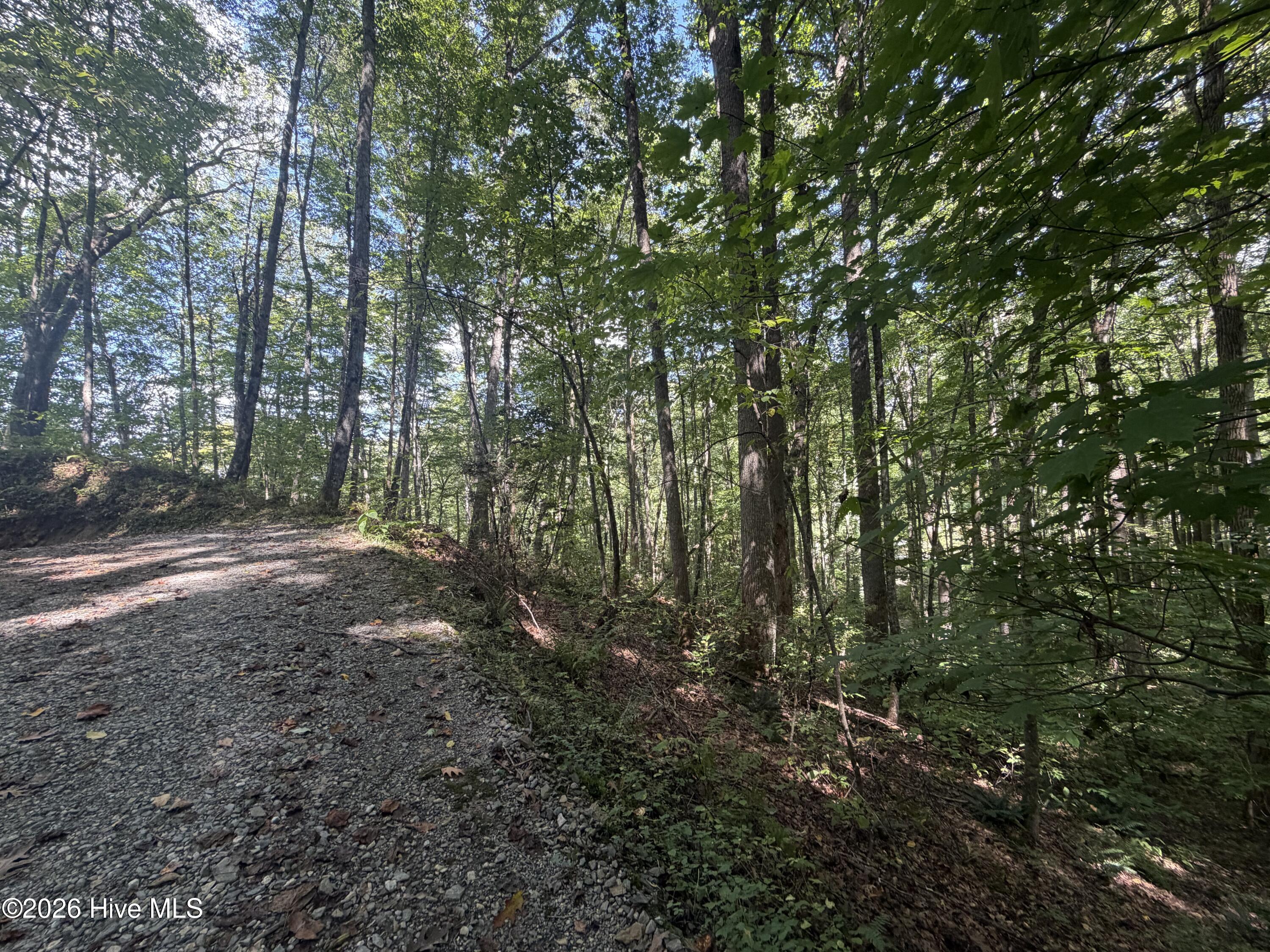 10 Deer Park Lane Property Photo 7