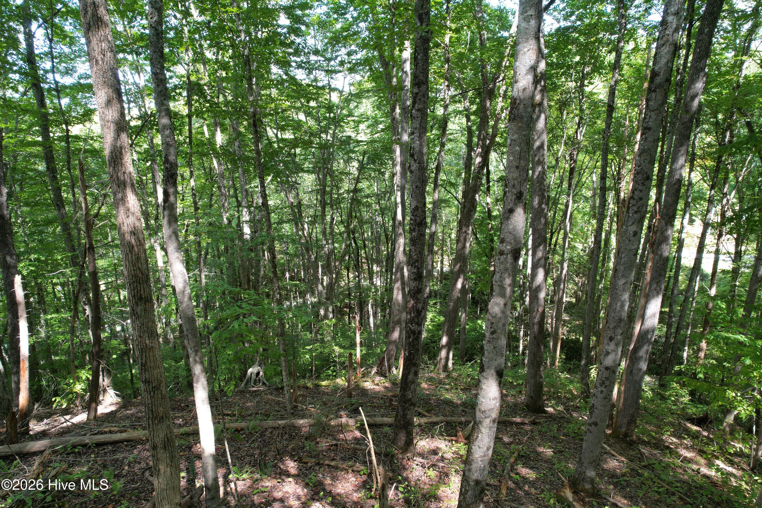 10 Deer Park Lane Property Photo 8