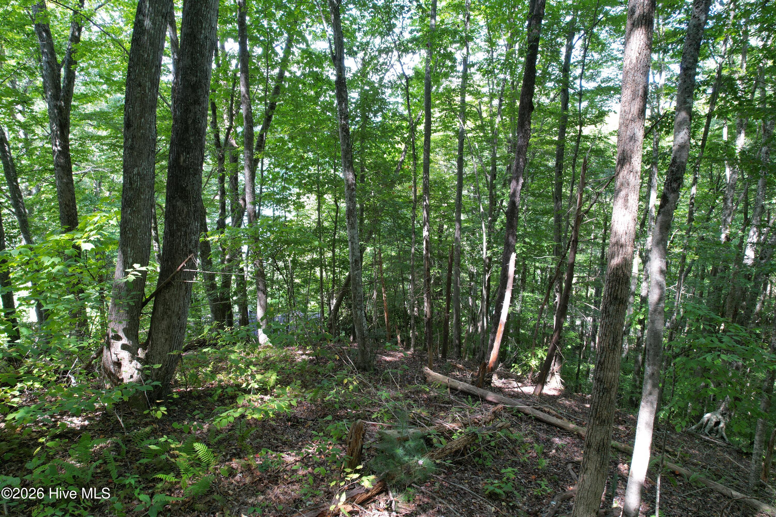 10 Deer Park Lane Property Photo 9