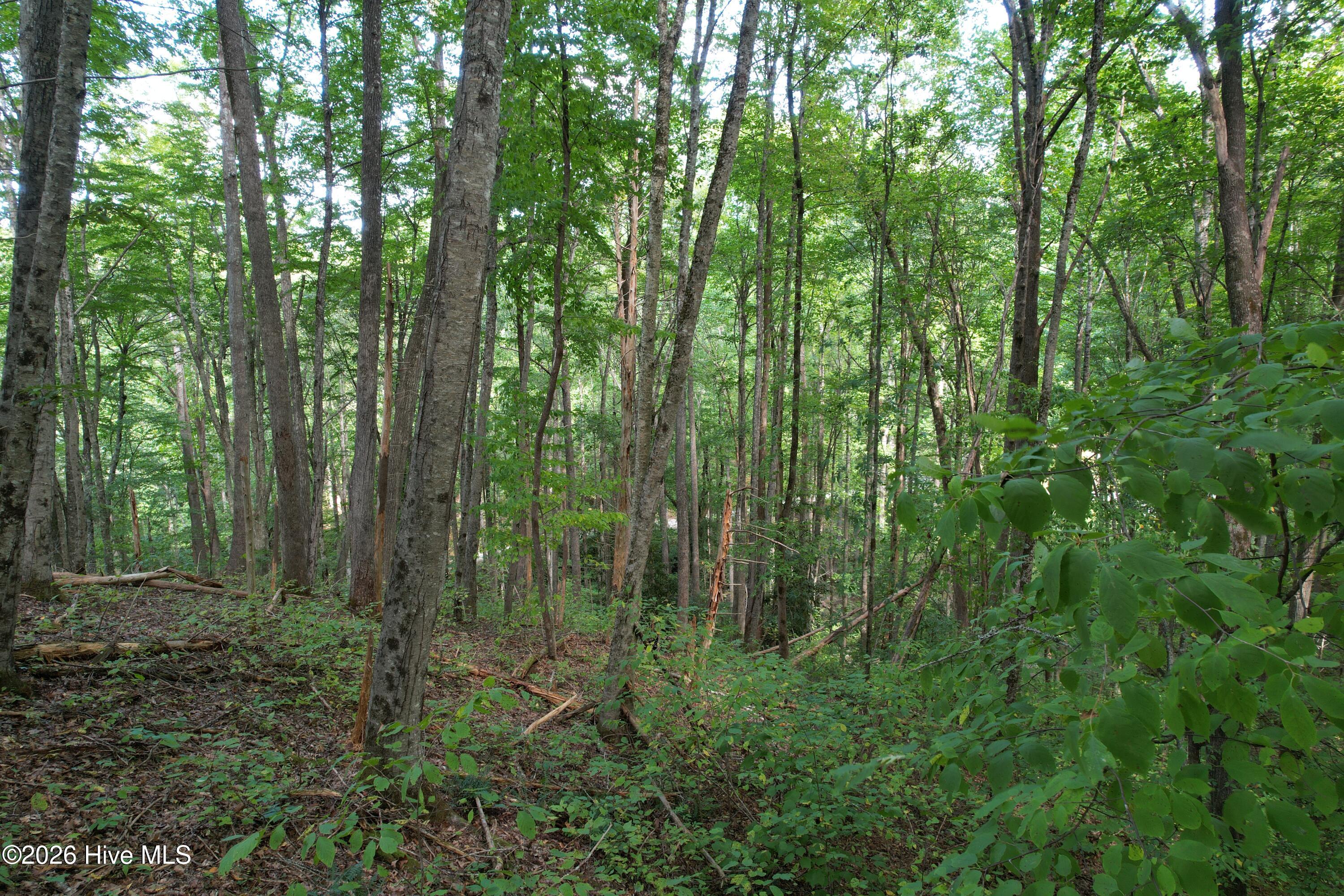 10 Deer Park Lane Property Photo 10