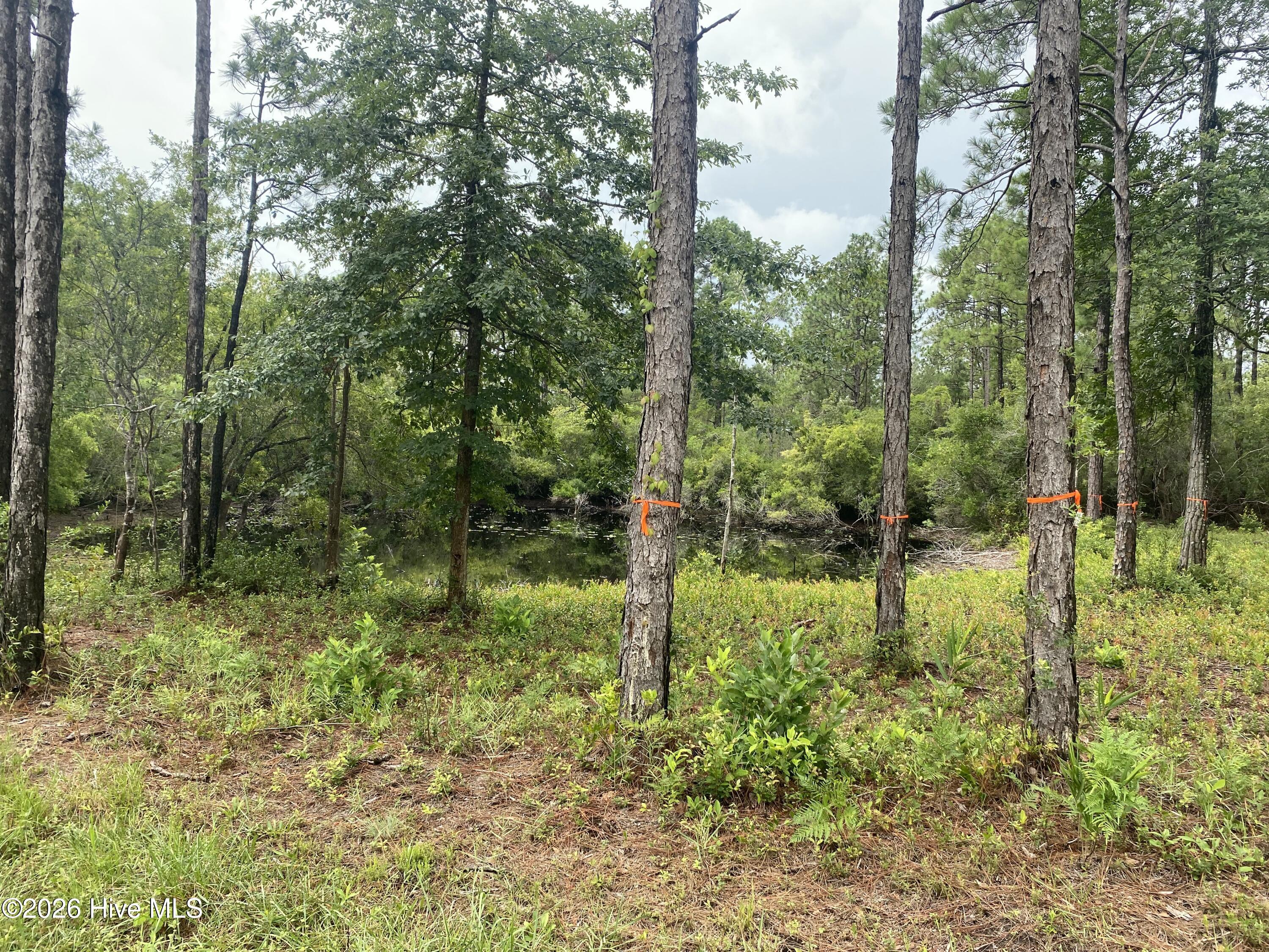 120 Dixon Road Property Photo 1