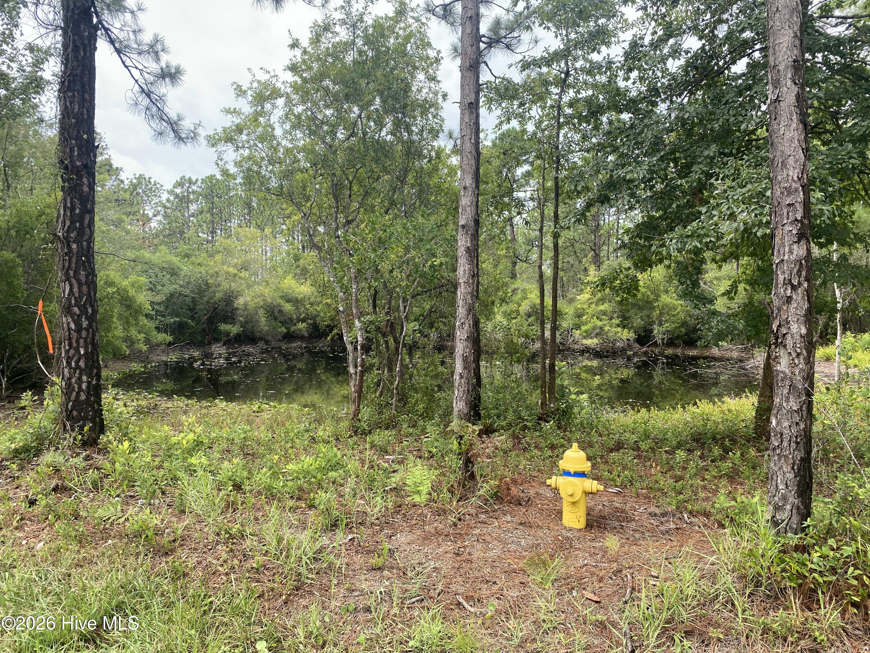 120 Dixon Road Property Photo 2