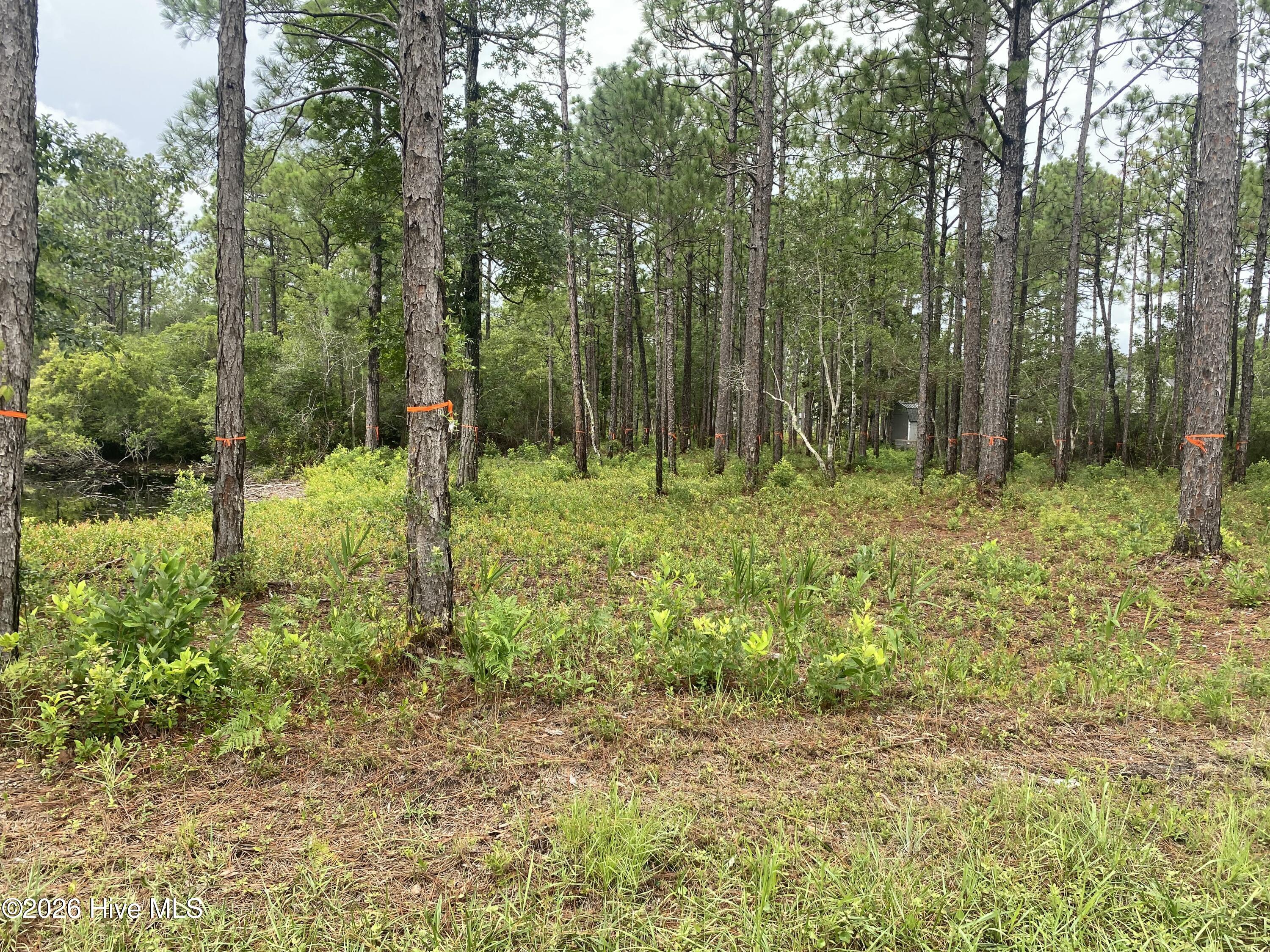 120 Dixon Road Property Photo 3