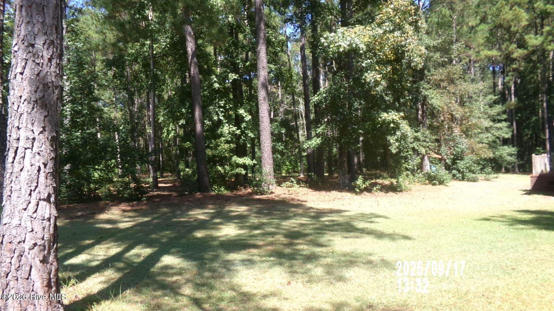 296 Hinson Lane Property Photo 2