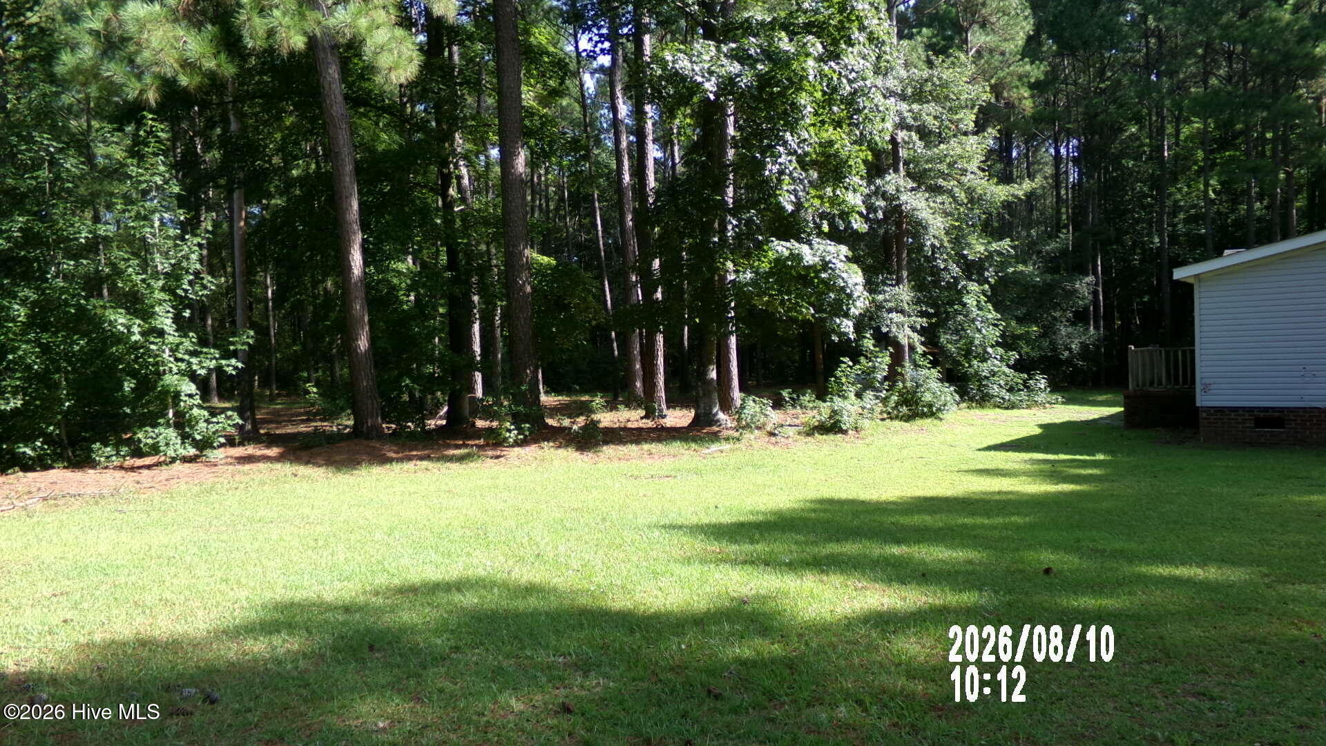 296 Hinson Lane Property Photo 4