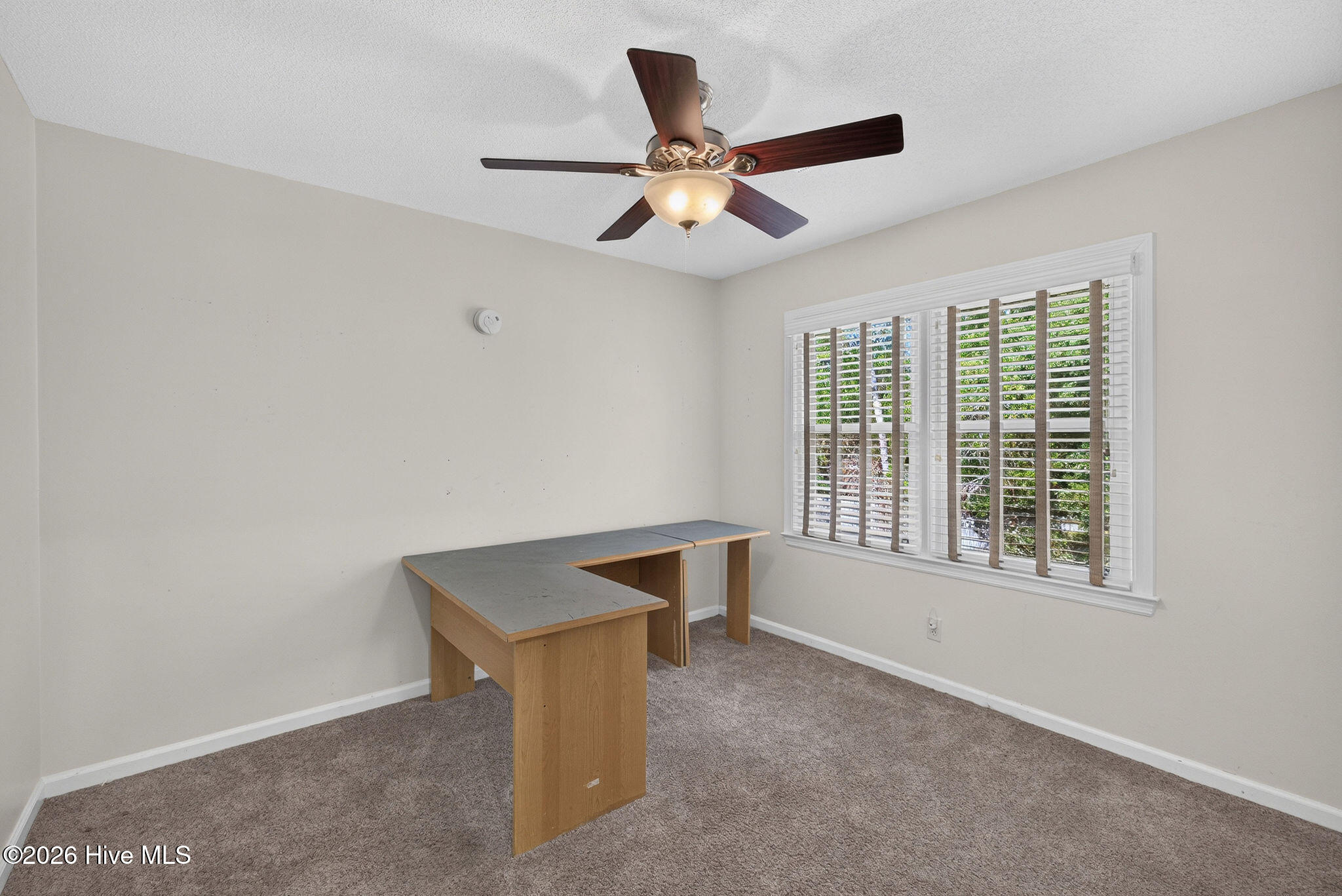 242 Dallas Drive Property Photo 43