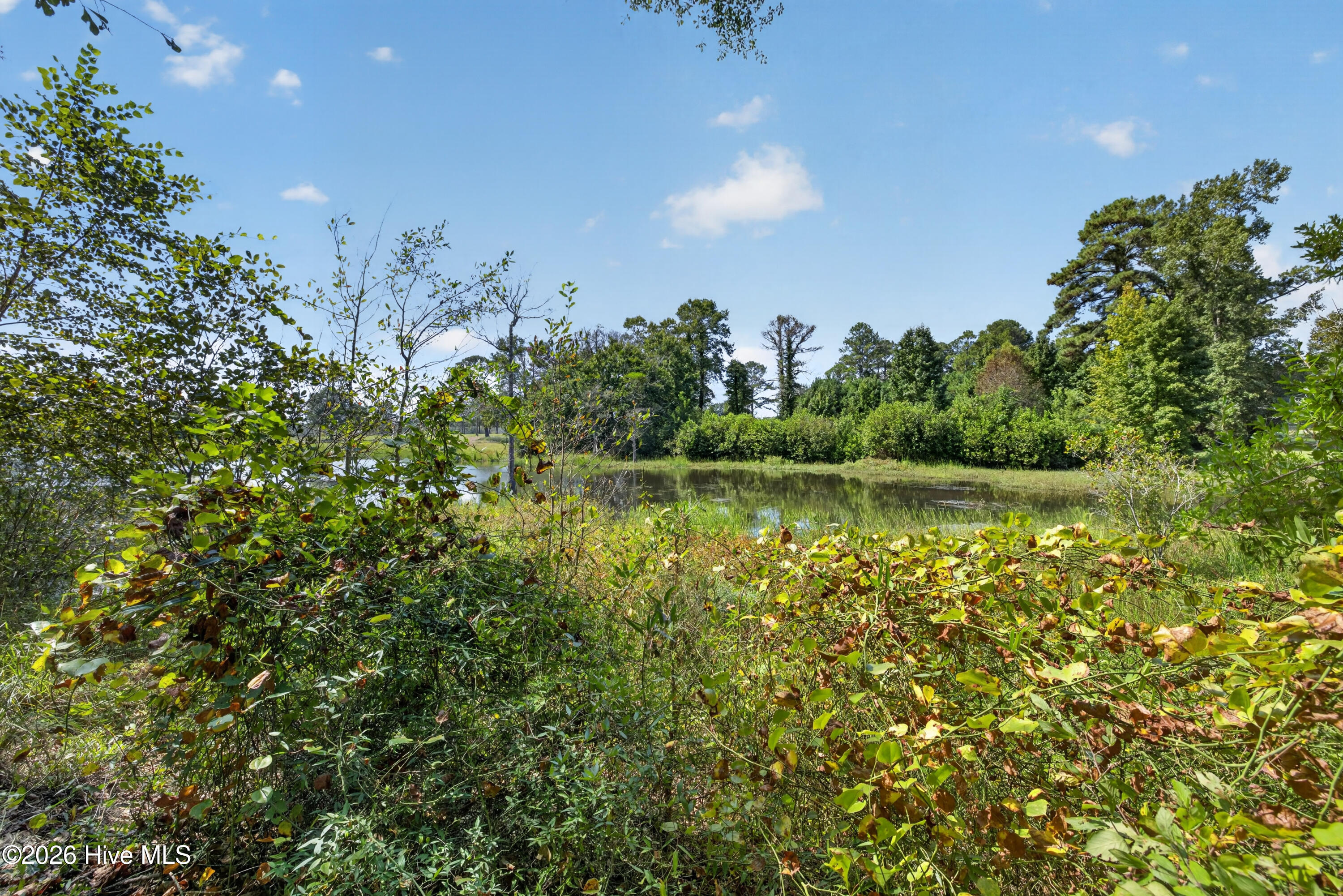 427 Tracy Brown Road Property Photo 10
