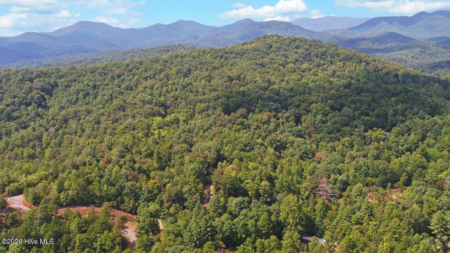 3021 Hanging Dog Road Property Photo 56