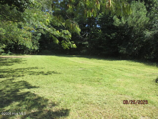 424 Louise Street Property Photo 32
