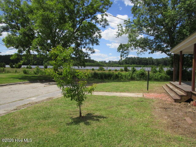 424 Louise Street Property Photo 33