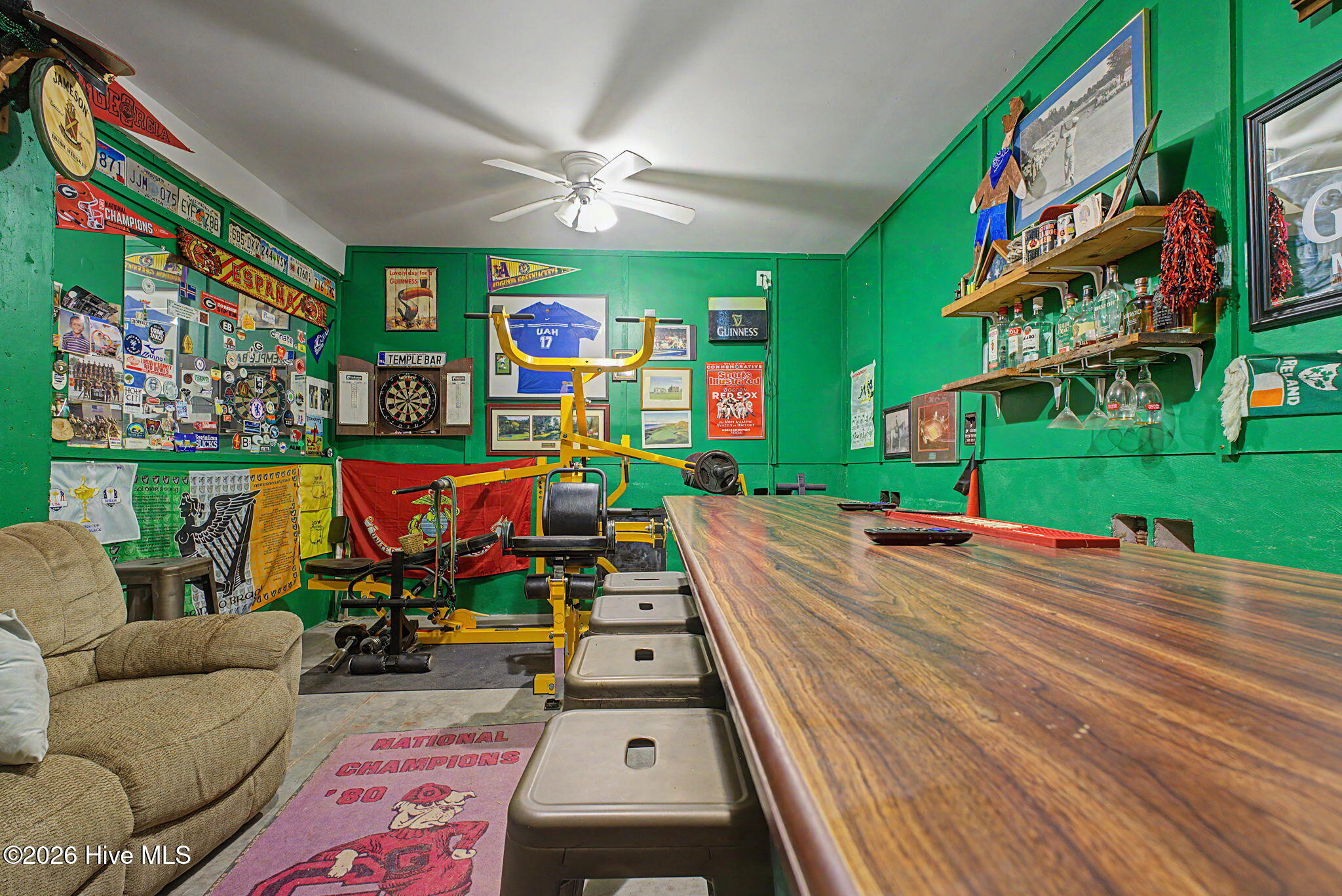 231 Altamaha Drive Property Photo 60