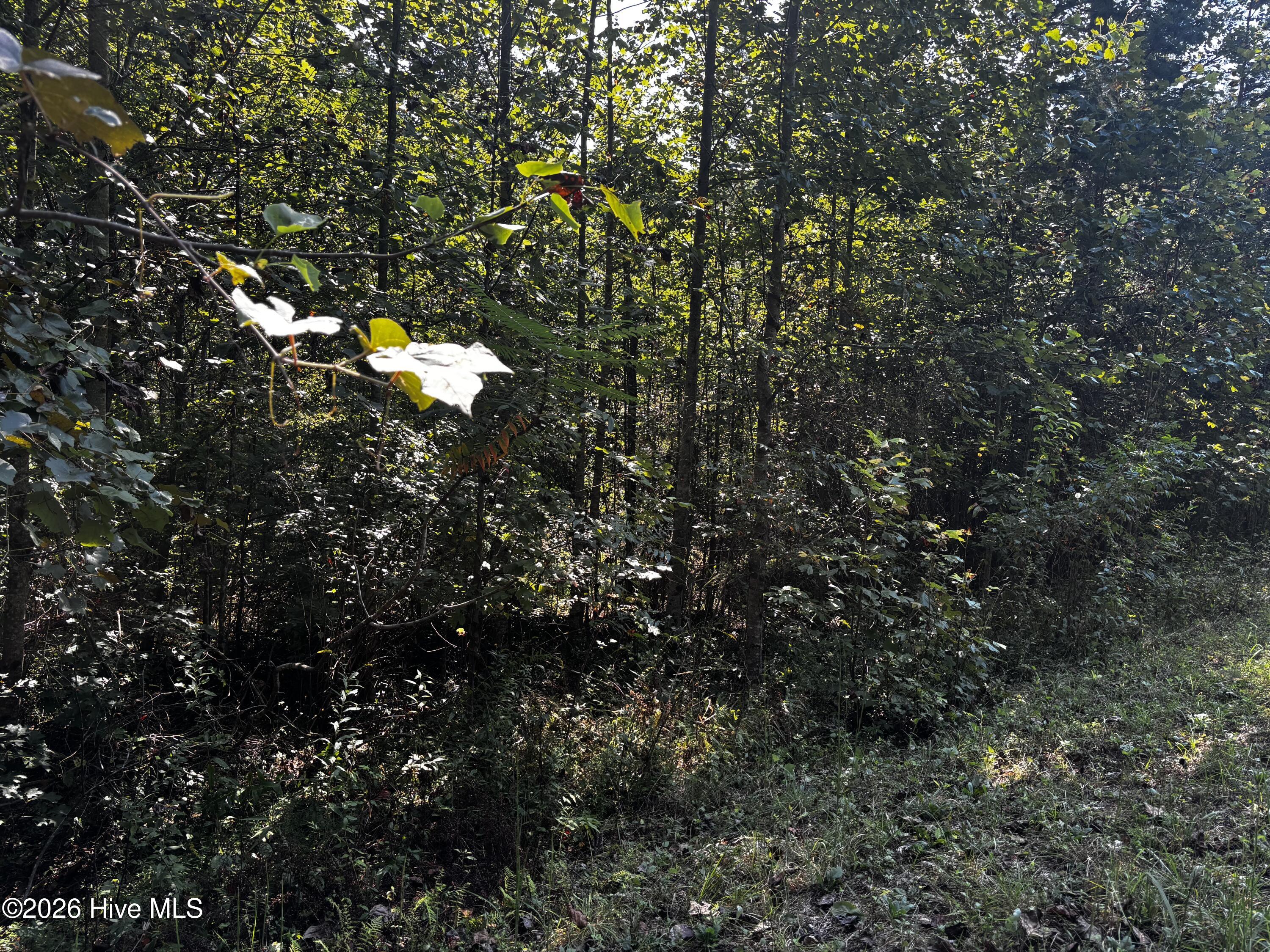 00 35 Highland Ridge Trail Property Photo 3