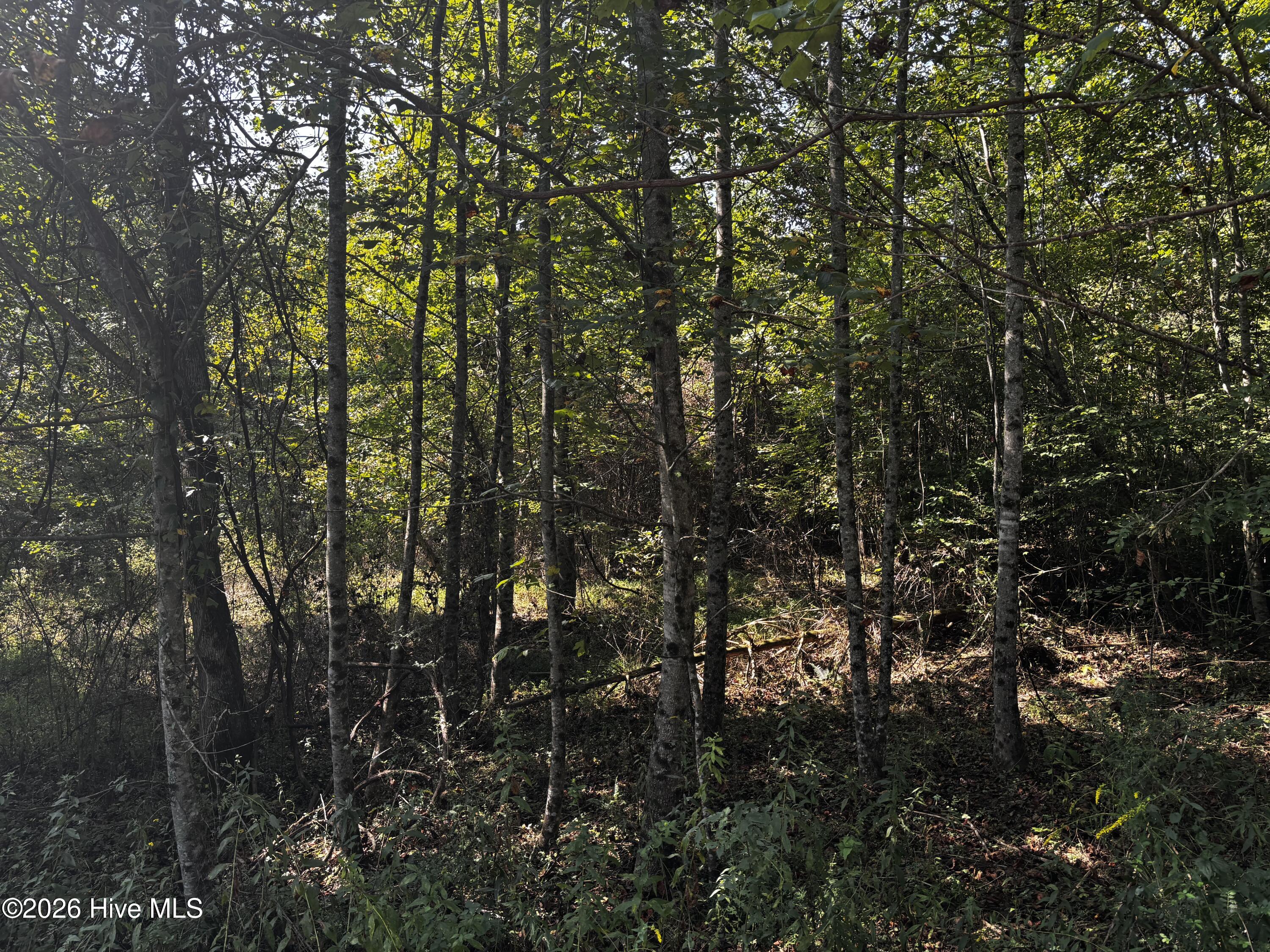 00 35 Highland Ridge Trail Property Photo 4