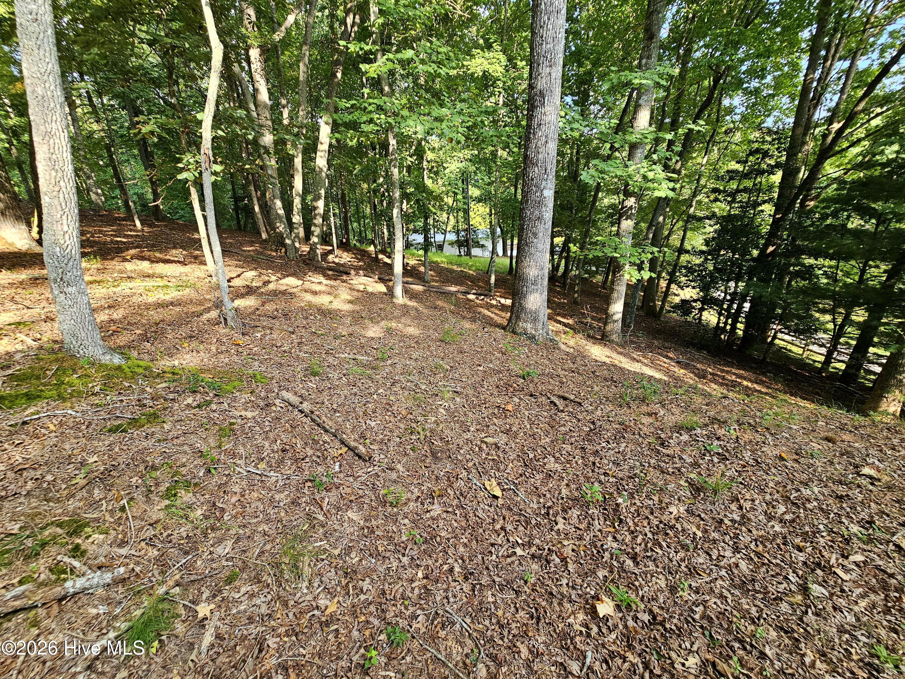 194 Leonard Lane Property Photo 32