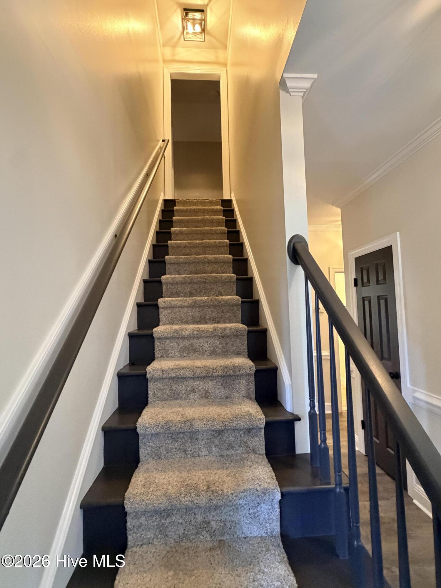1702 Timberlane Drive Property Photo 19