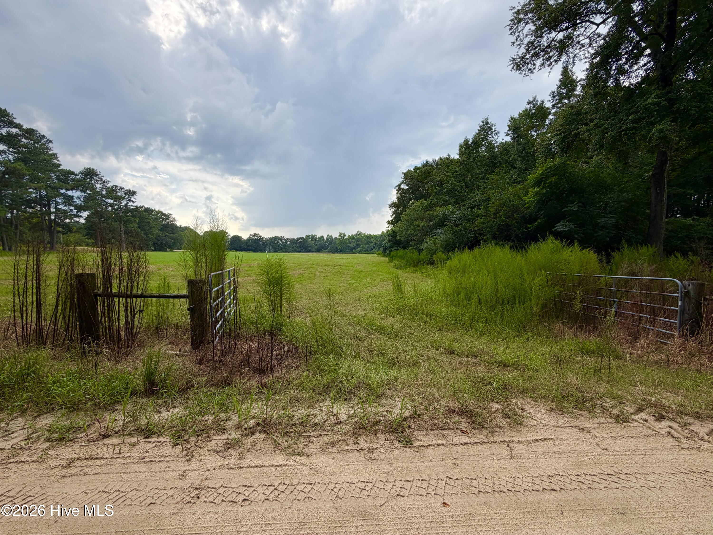 789 Trigger Farm Drive Property Photo 10