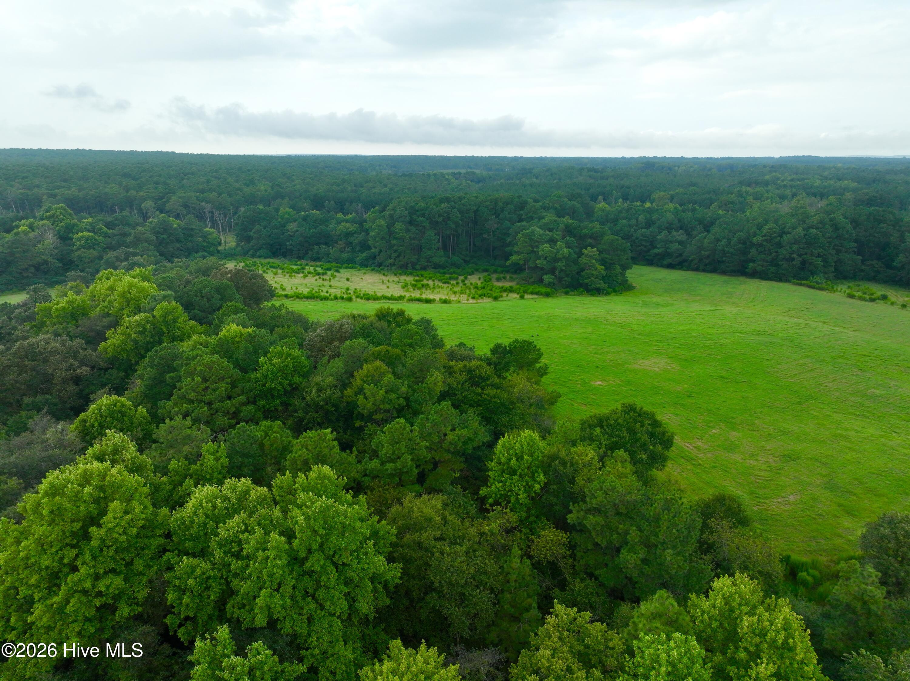 789 Trigger Farm Drive Property Photo 13