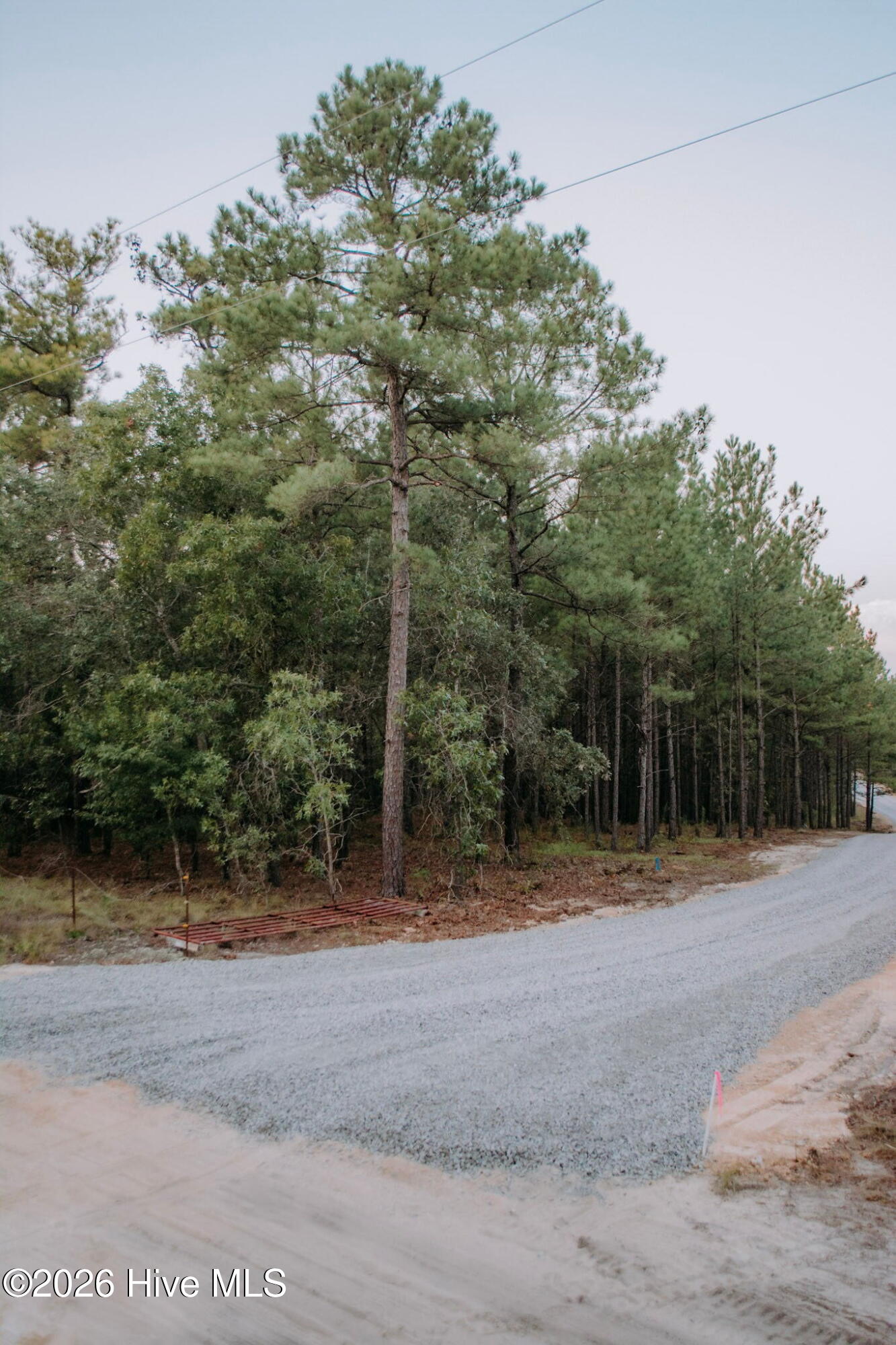 Lot 1-tbd Nighthawk Loop Property Photo 1