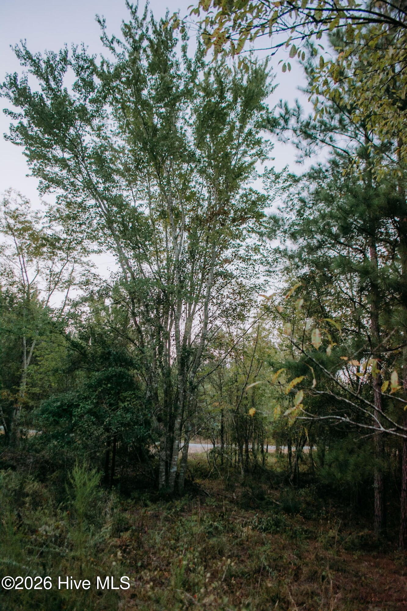 Lot 3-tbd Nighthawk Loop Property Photo 1