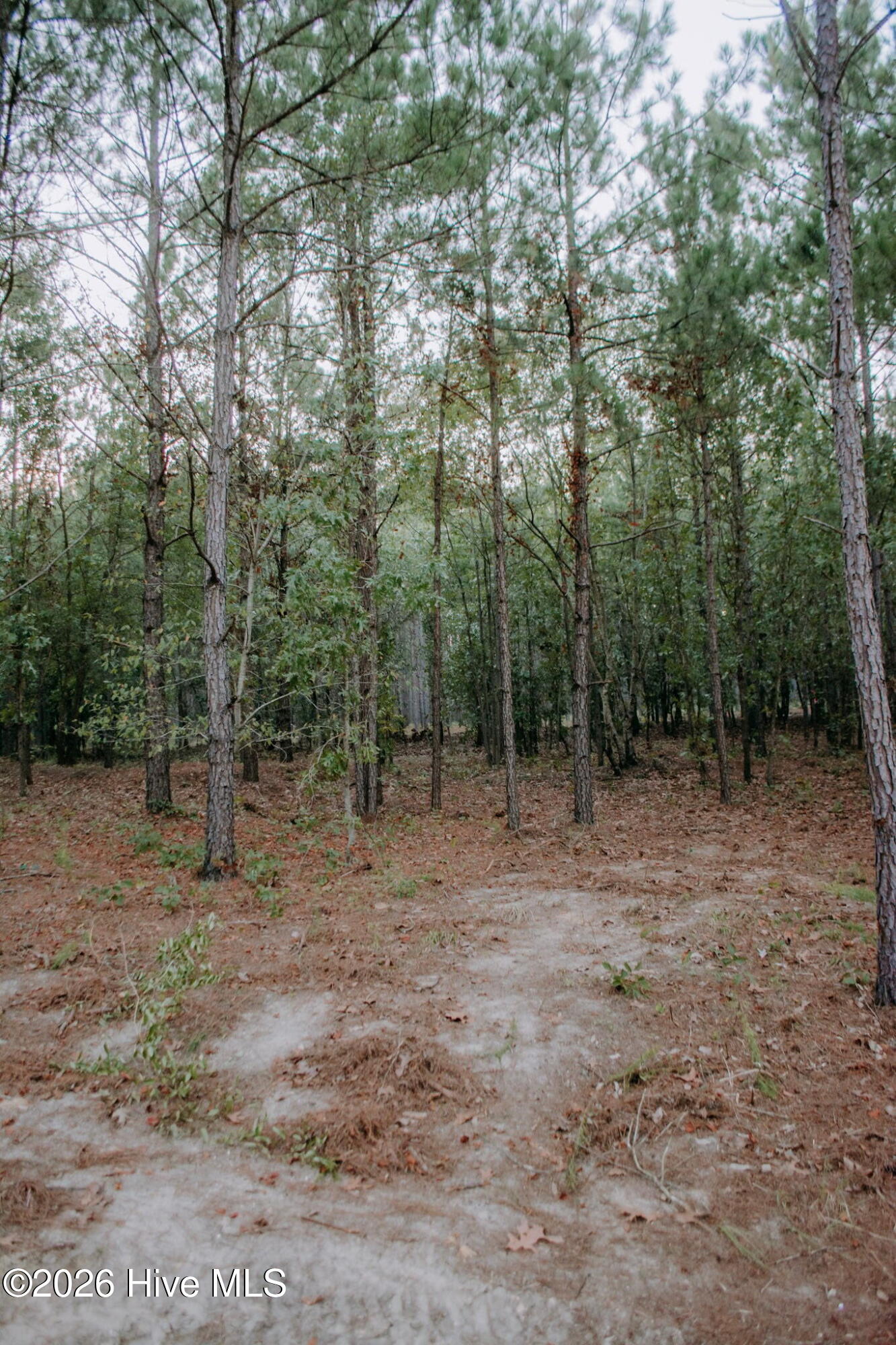Lot 3-tbd Nighthawk Loop Property Photo 3