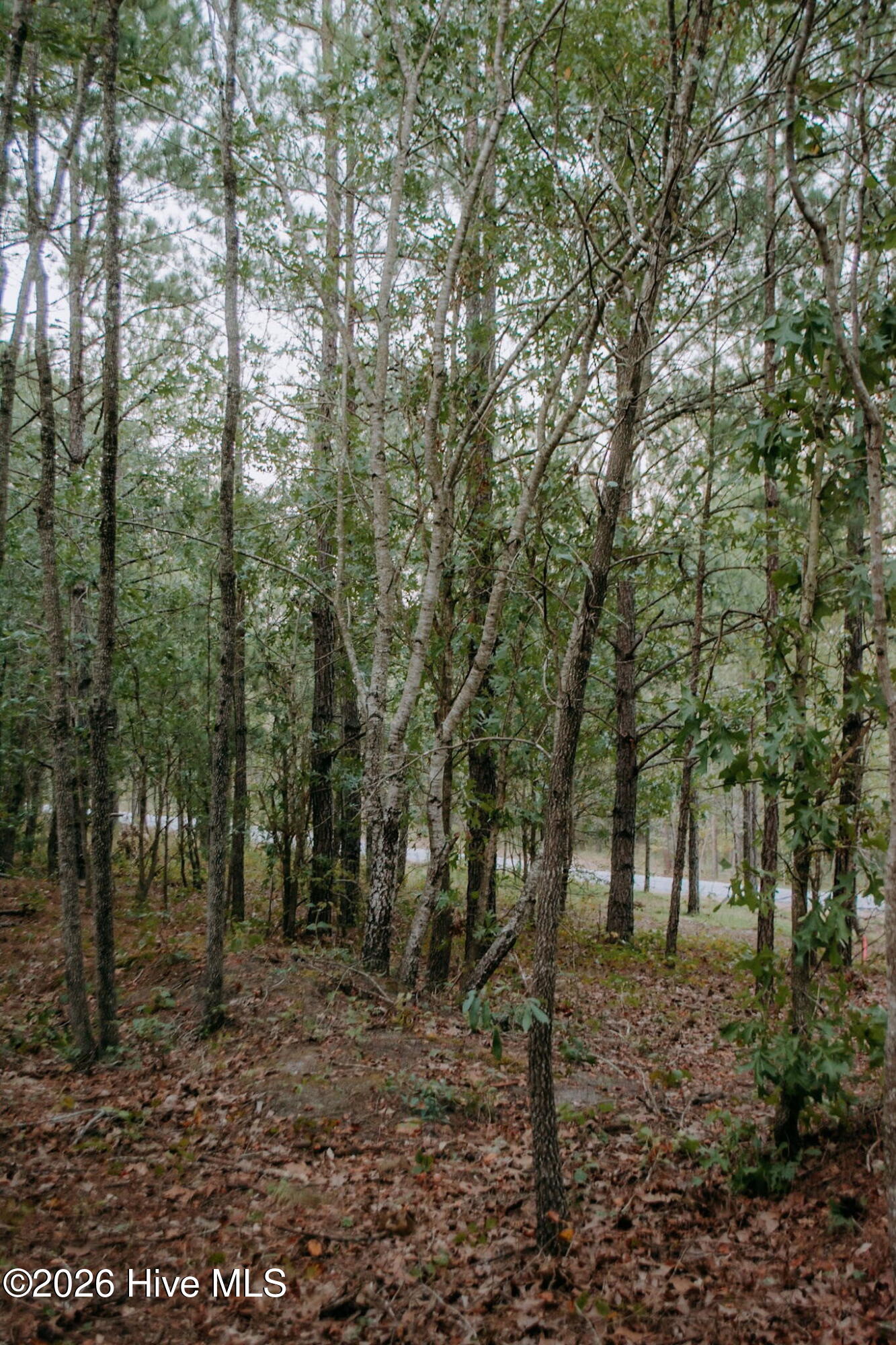Lot 3-tbd Nighthawk Loop Property Photo 4