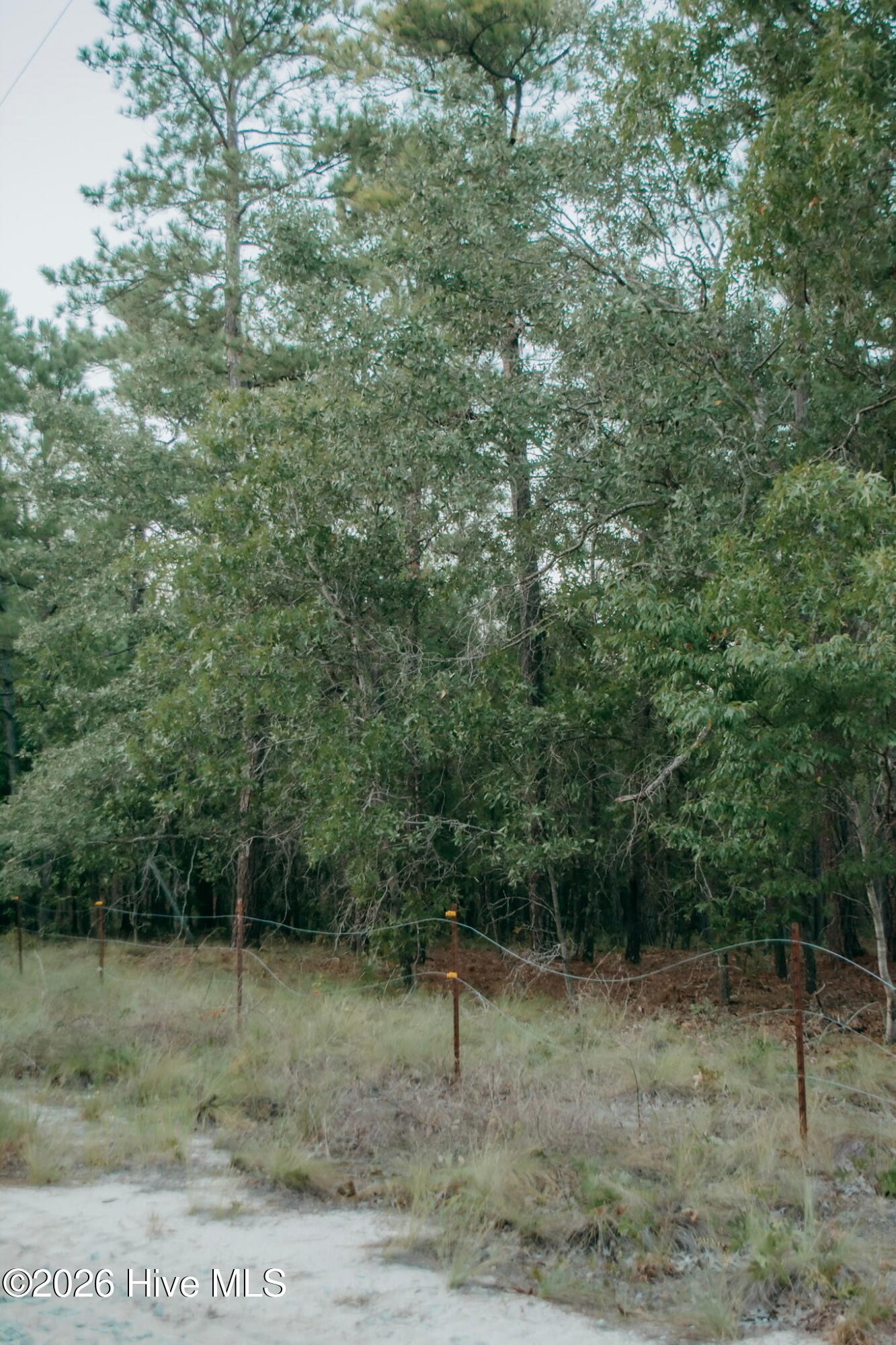 Lot 3-tbd Nighthawk Loop Property Photo 5