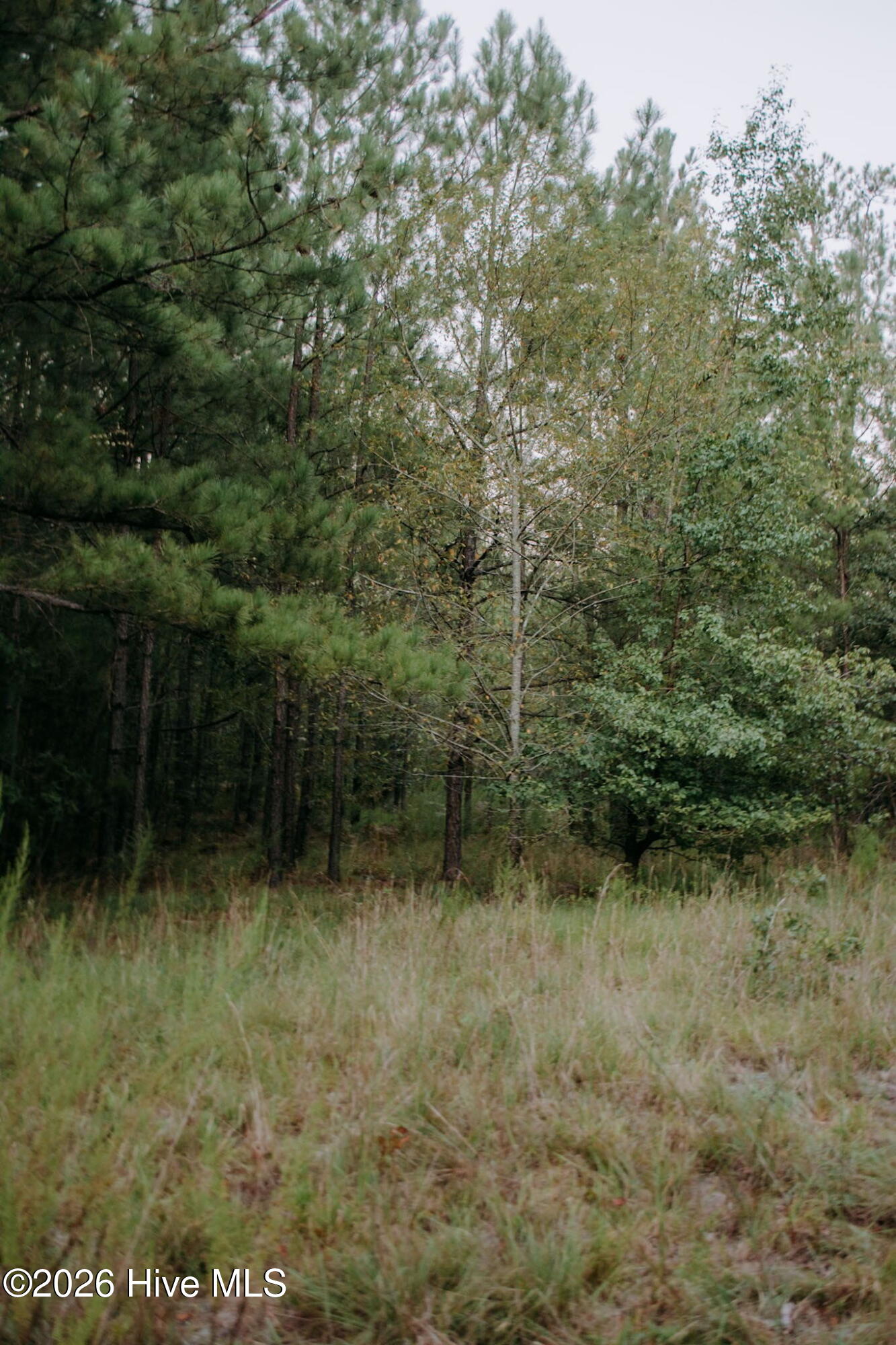 Lot 3-tbd Nighthawk Loop Property Photo 6