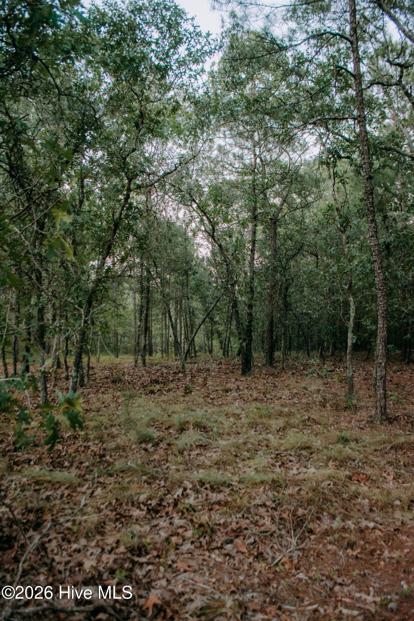 Lot 3-tbd Nighthawk Loop Property Photo 7