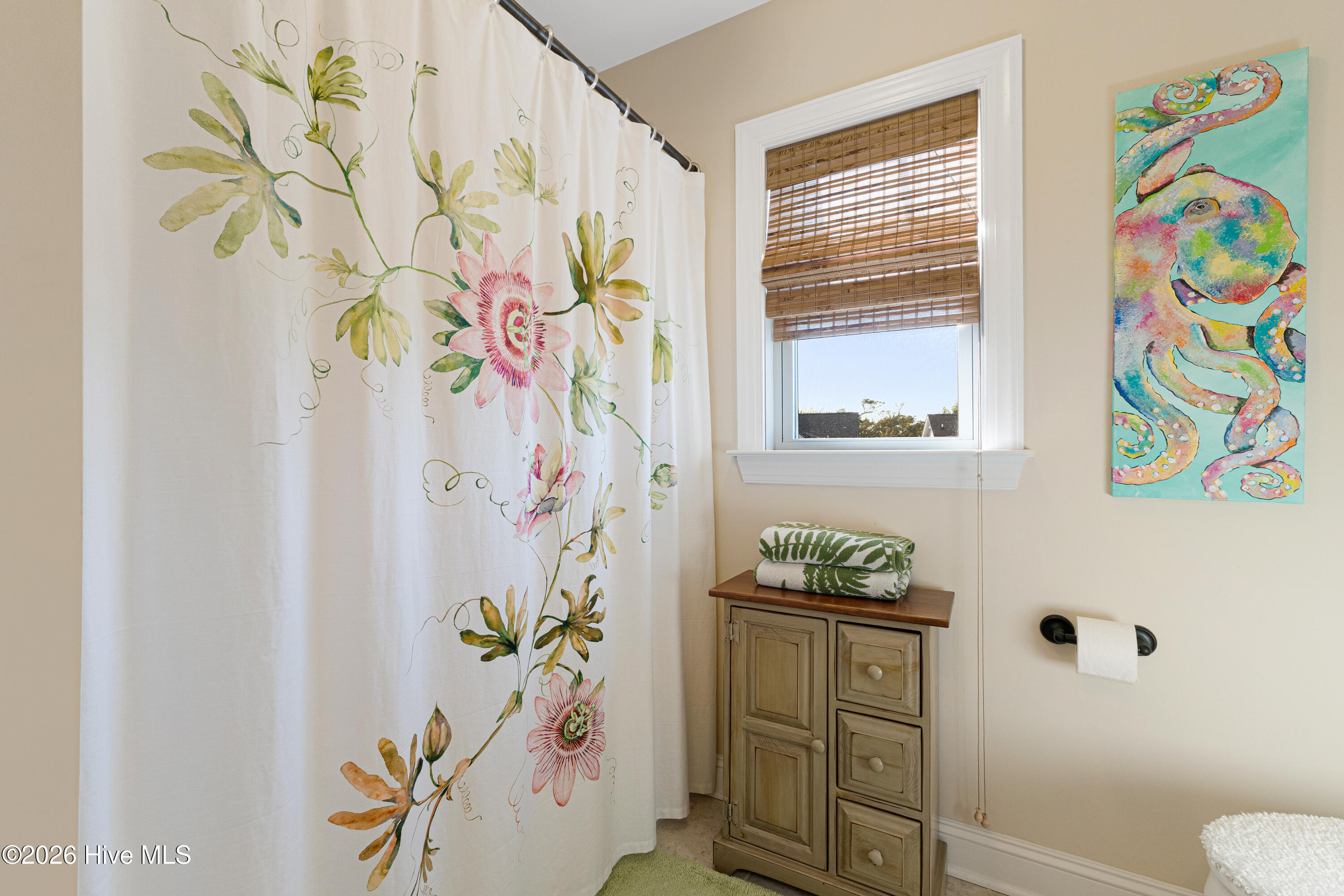 301 Hedrick Street Property Photo 38