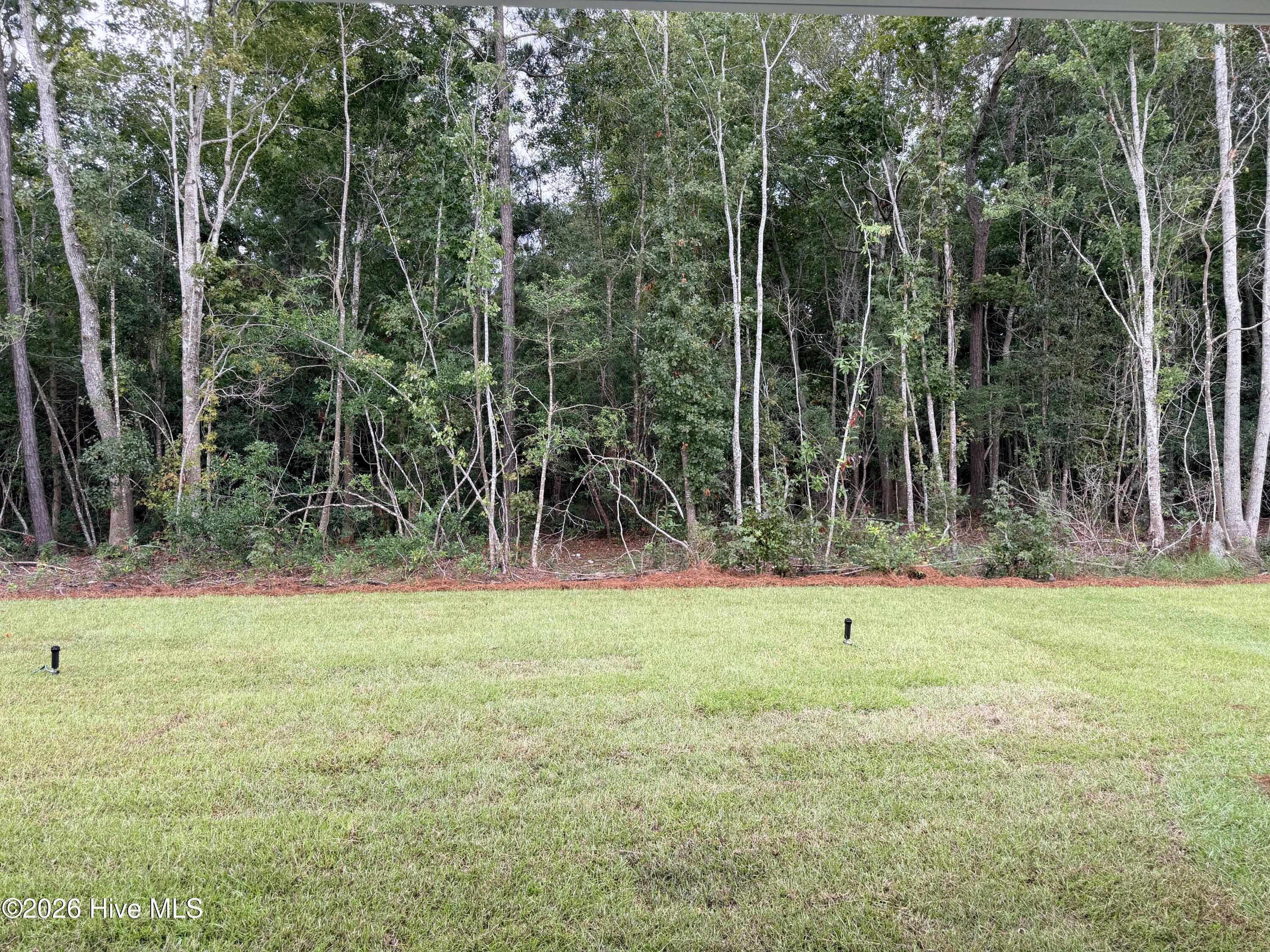 3472 Sandhill Crane Drive Sw Litchfield Il Lot 5 Property Photo 4