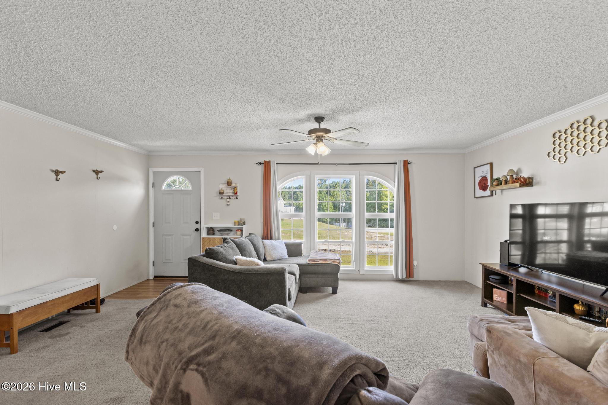 101 Cutlass Street Property Photo 4